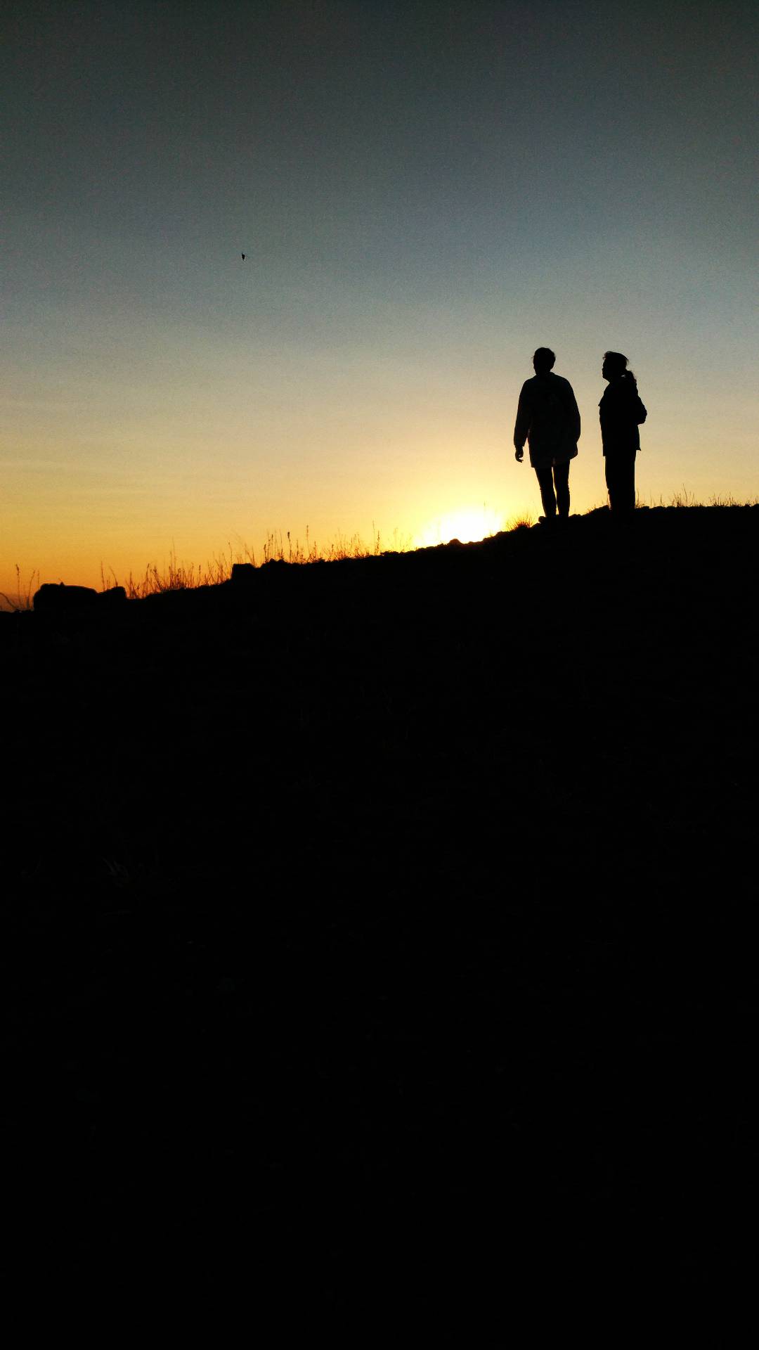 夕阳下两人剪影，浪漫户外景象