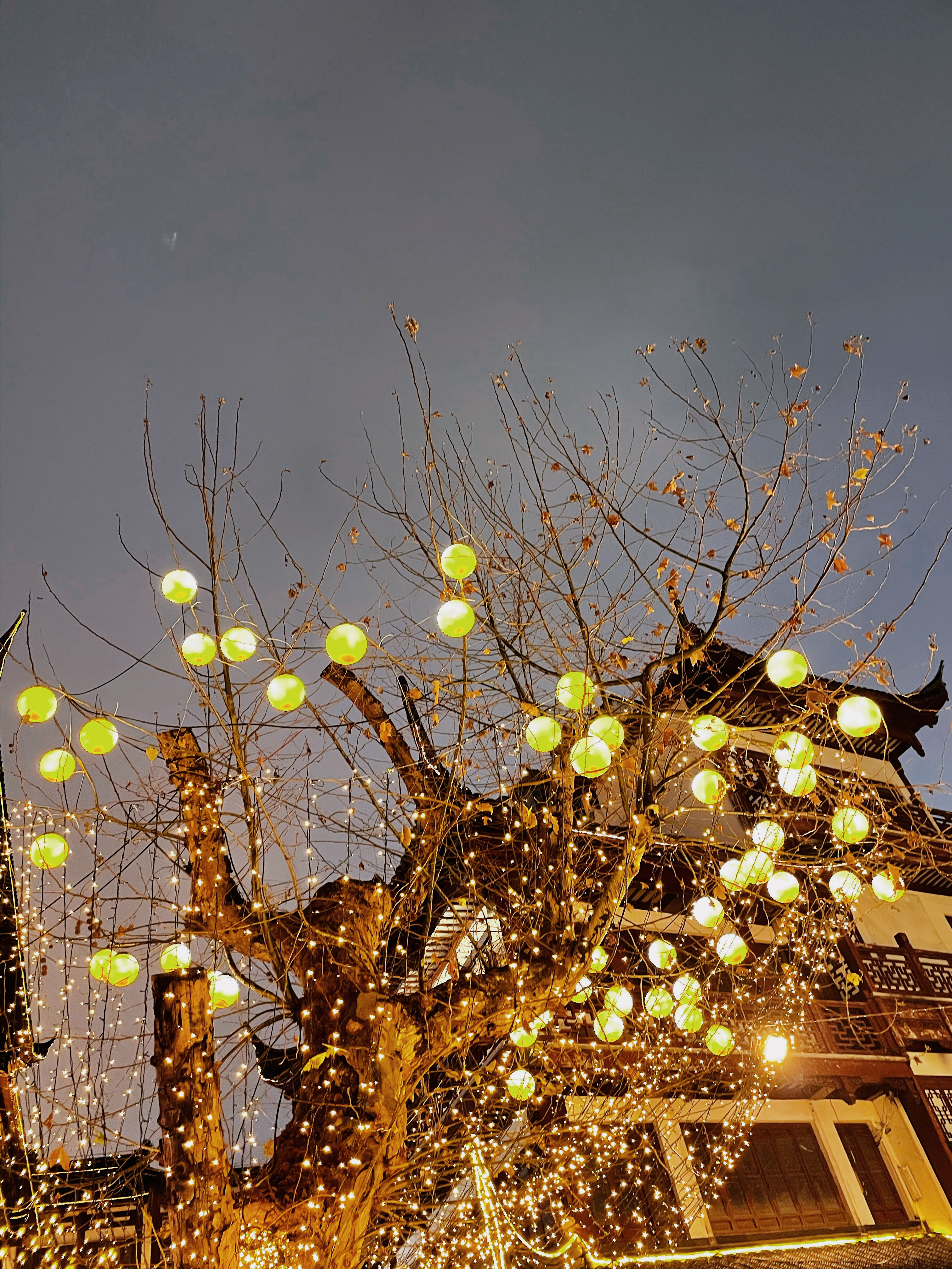 古树枝头挂彩灯，传统建筑夜景美如画
