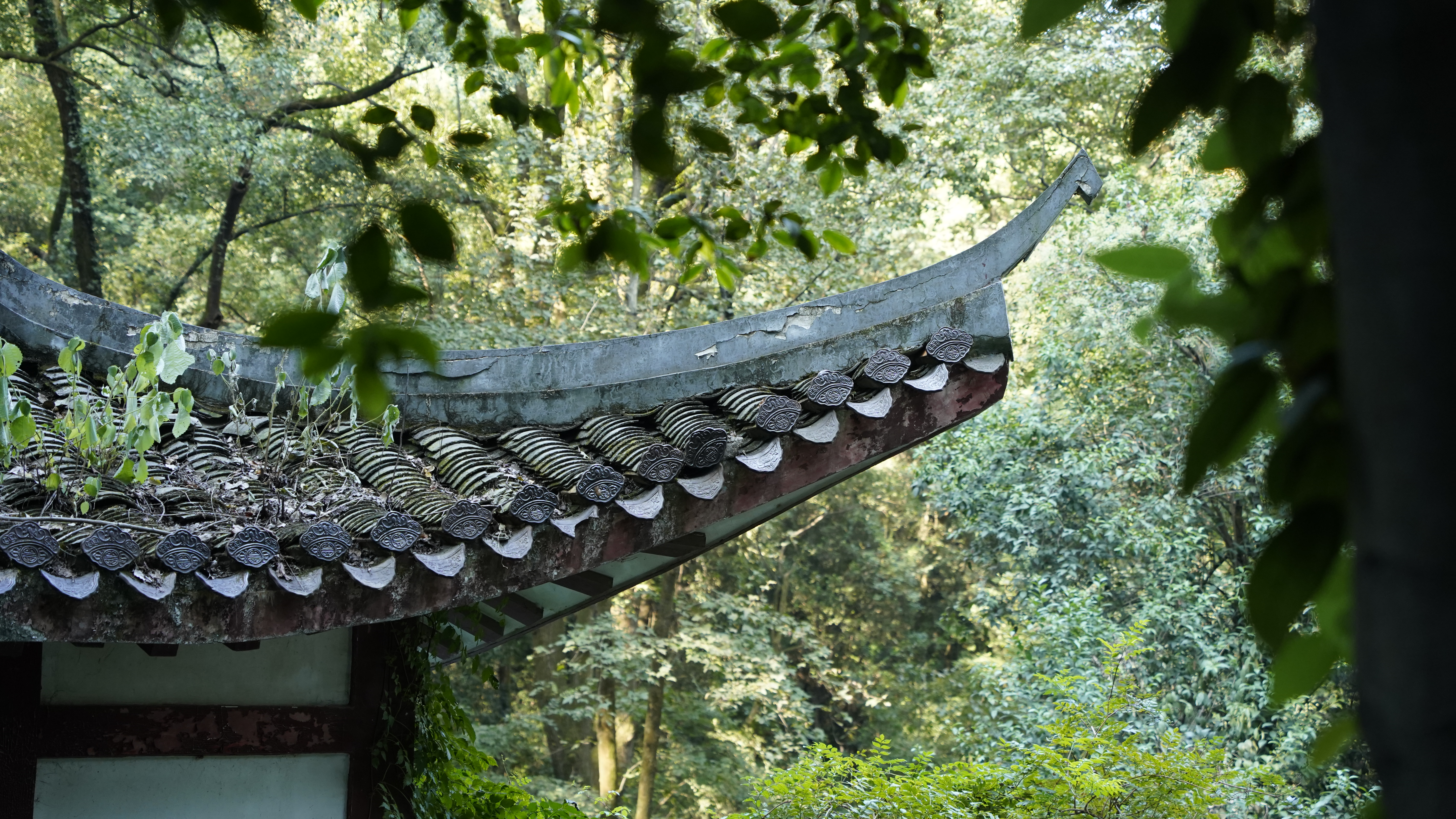 森林中古建筑一角尽显古朴韵味
