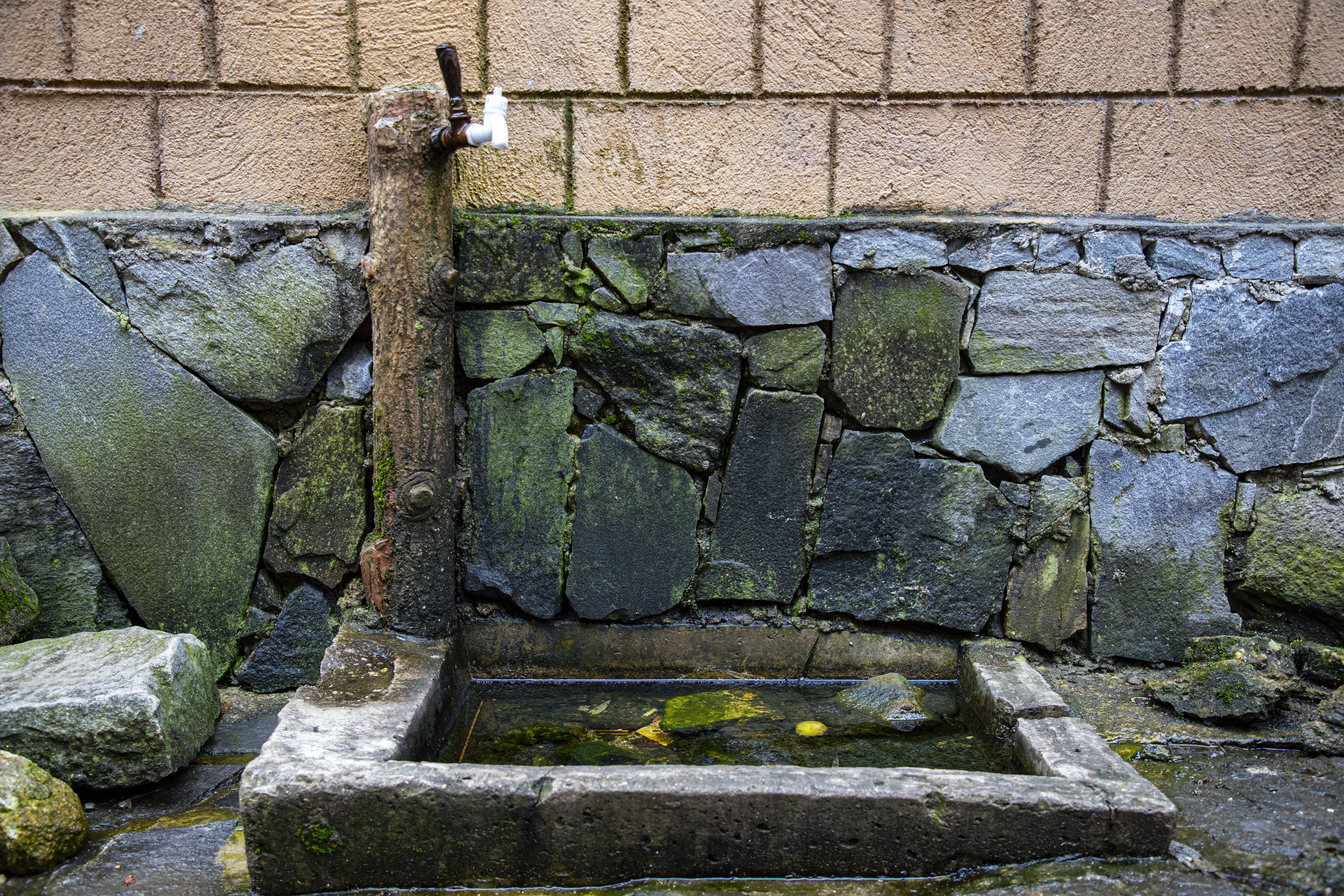 乡村石砌水槽，古朴自然的乡村风景写照