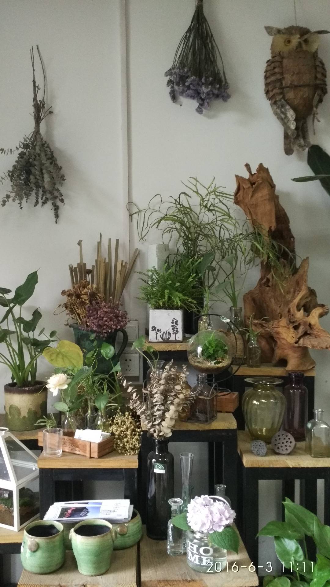 创意绿植摆件，打造清新自然的室内空间