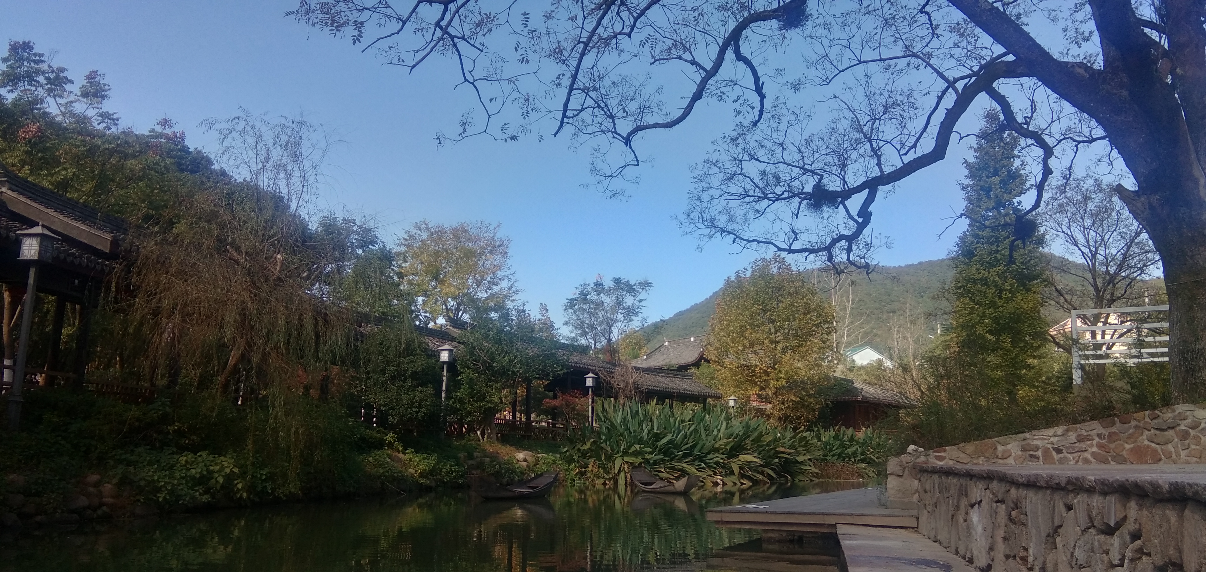 湖泊边的美丽景致尽显清新自然之韵