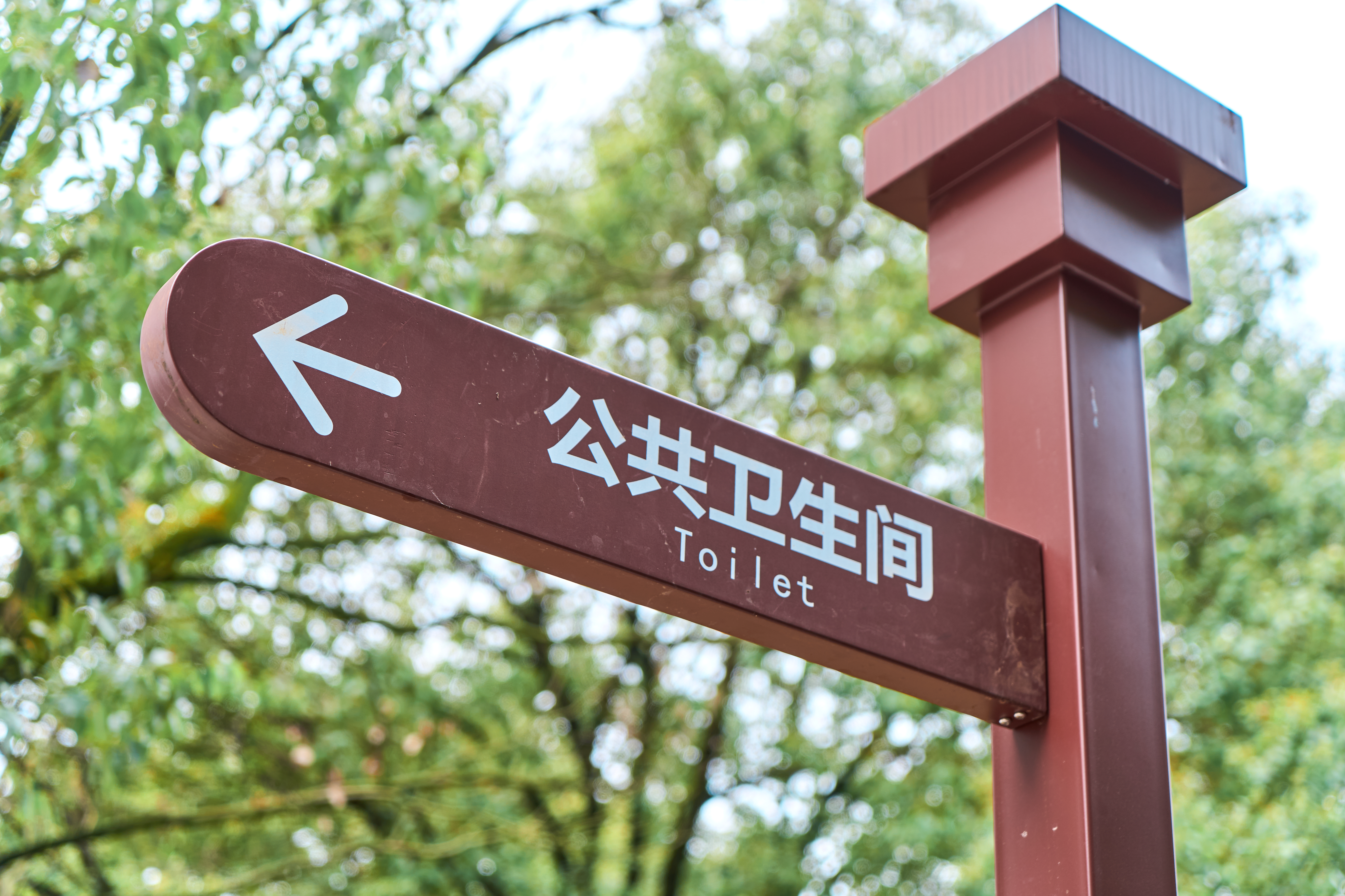 户外森林中指引公共卫生间的指示牌