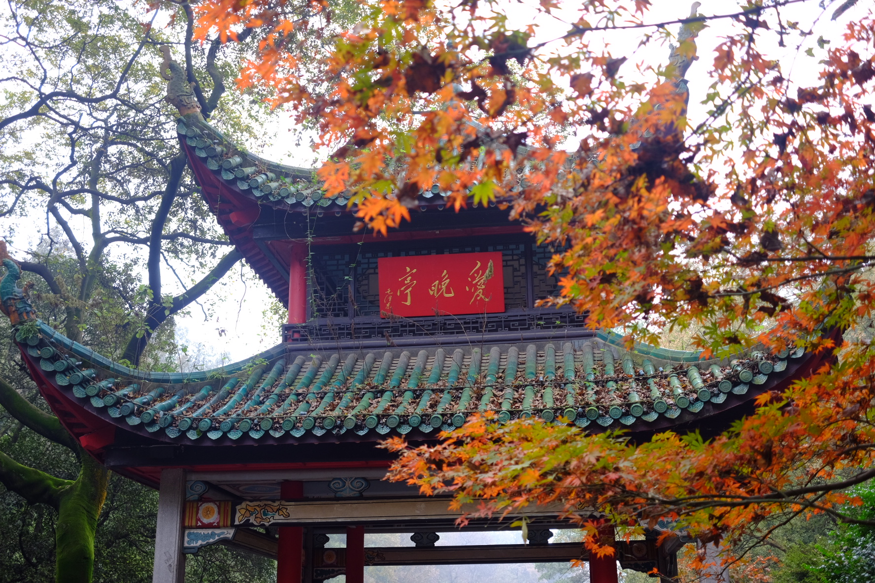 古色古香爱晚亭，赏秋景之美