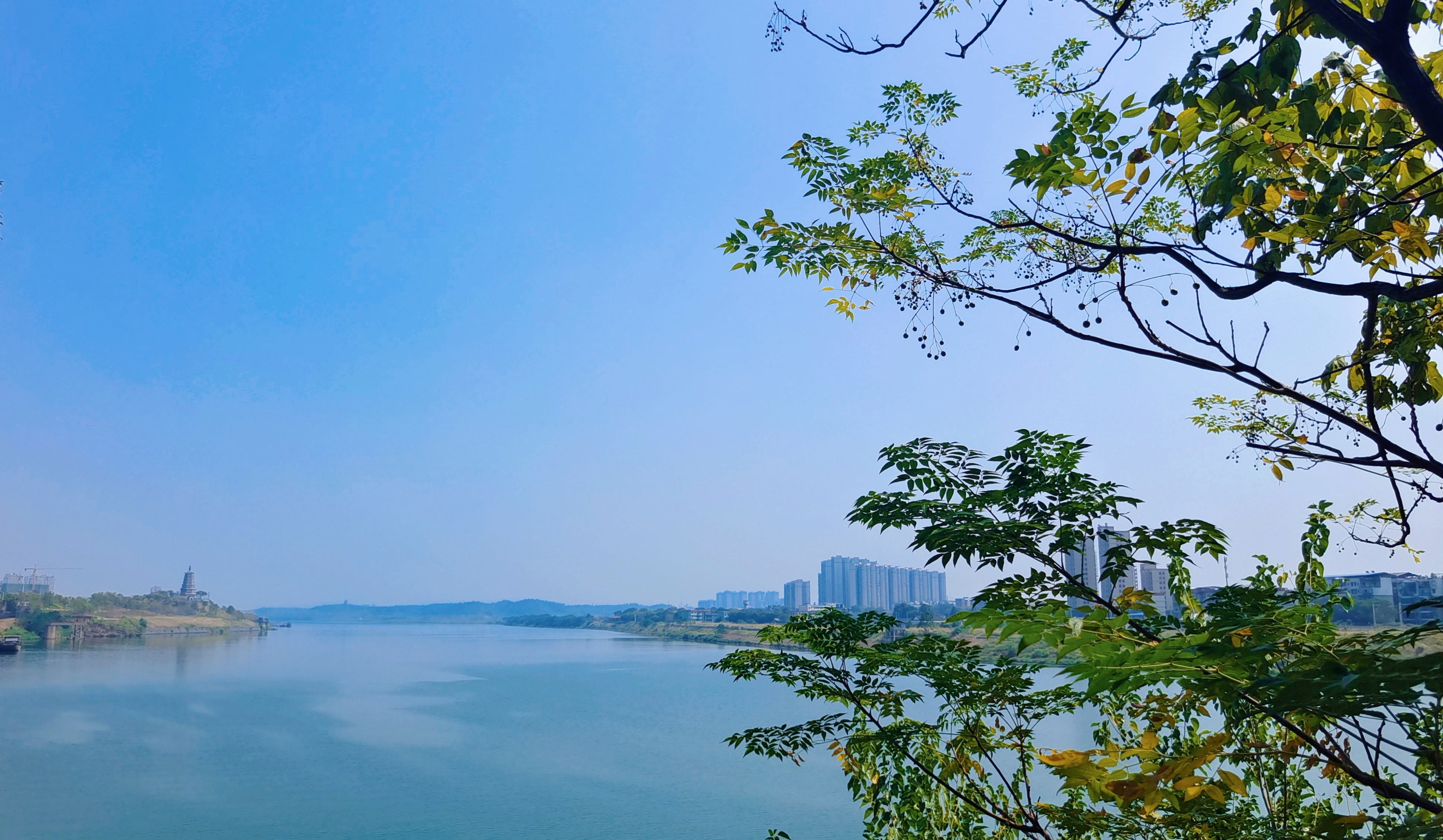 赏江河美景，清新树叶相伴的自然电脑壁纸