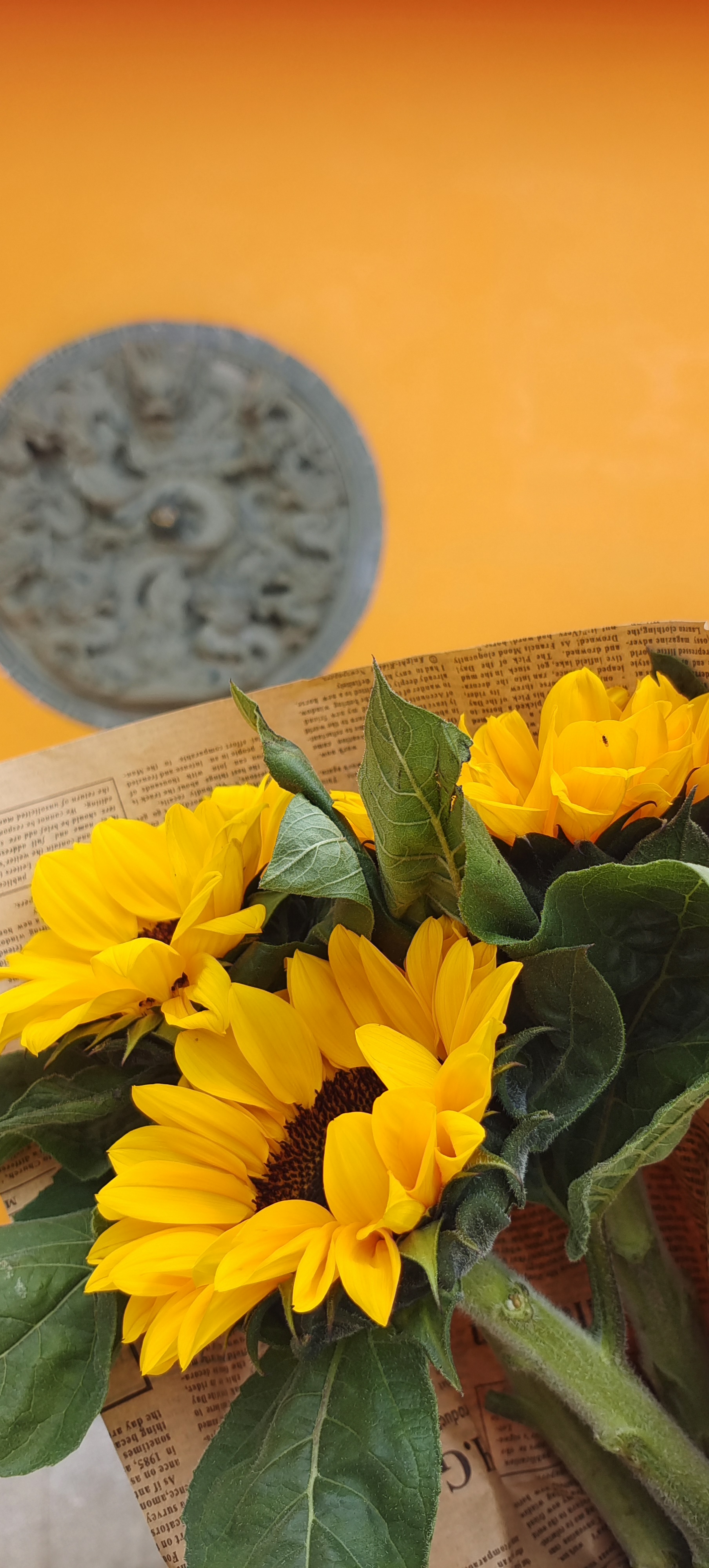 向日葵鲜花束，点亮生活的明媚阳光之选