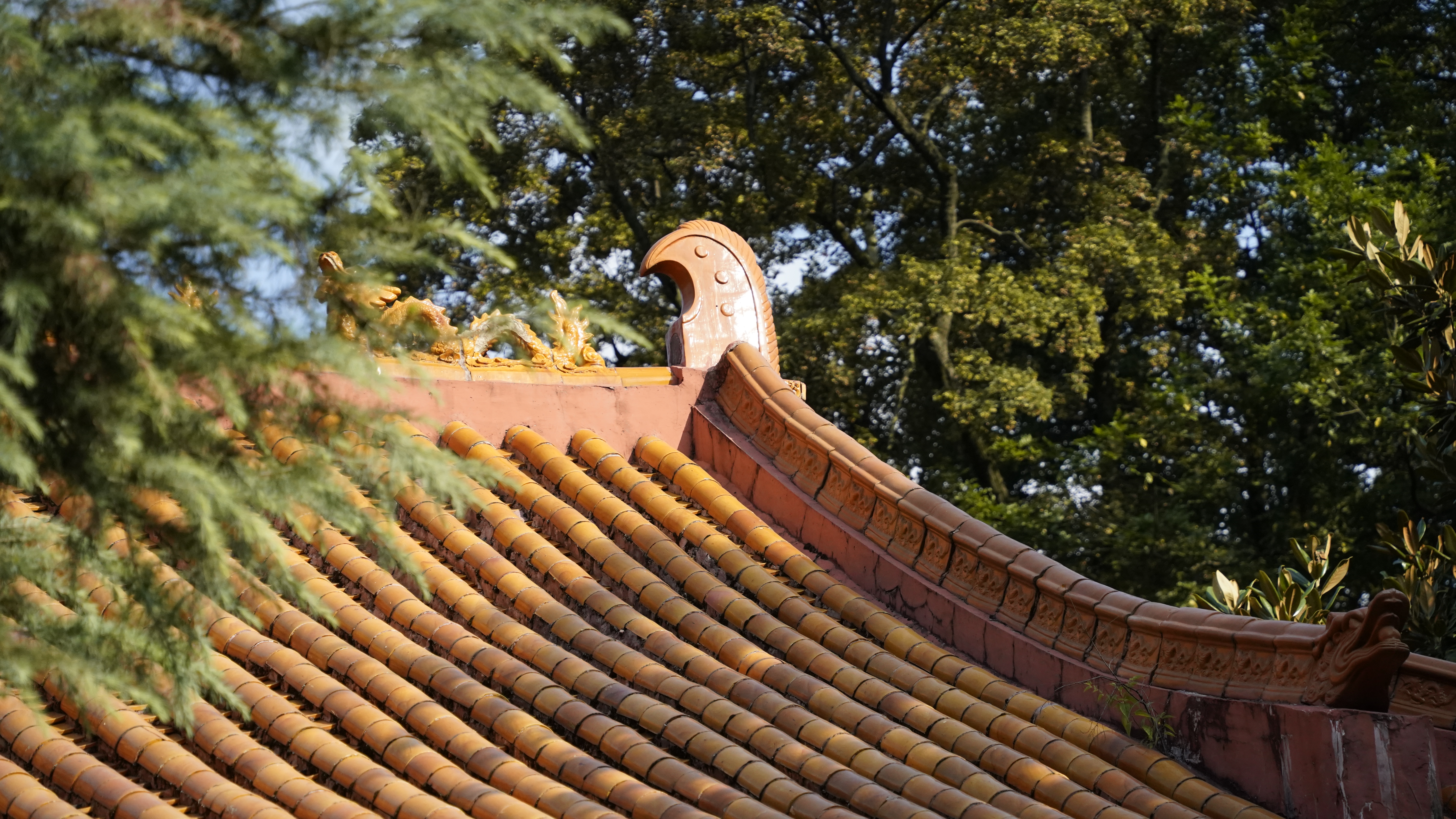 古建筑屋顶之美尽显中国风独特韵味