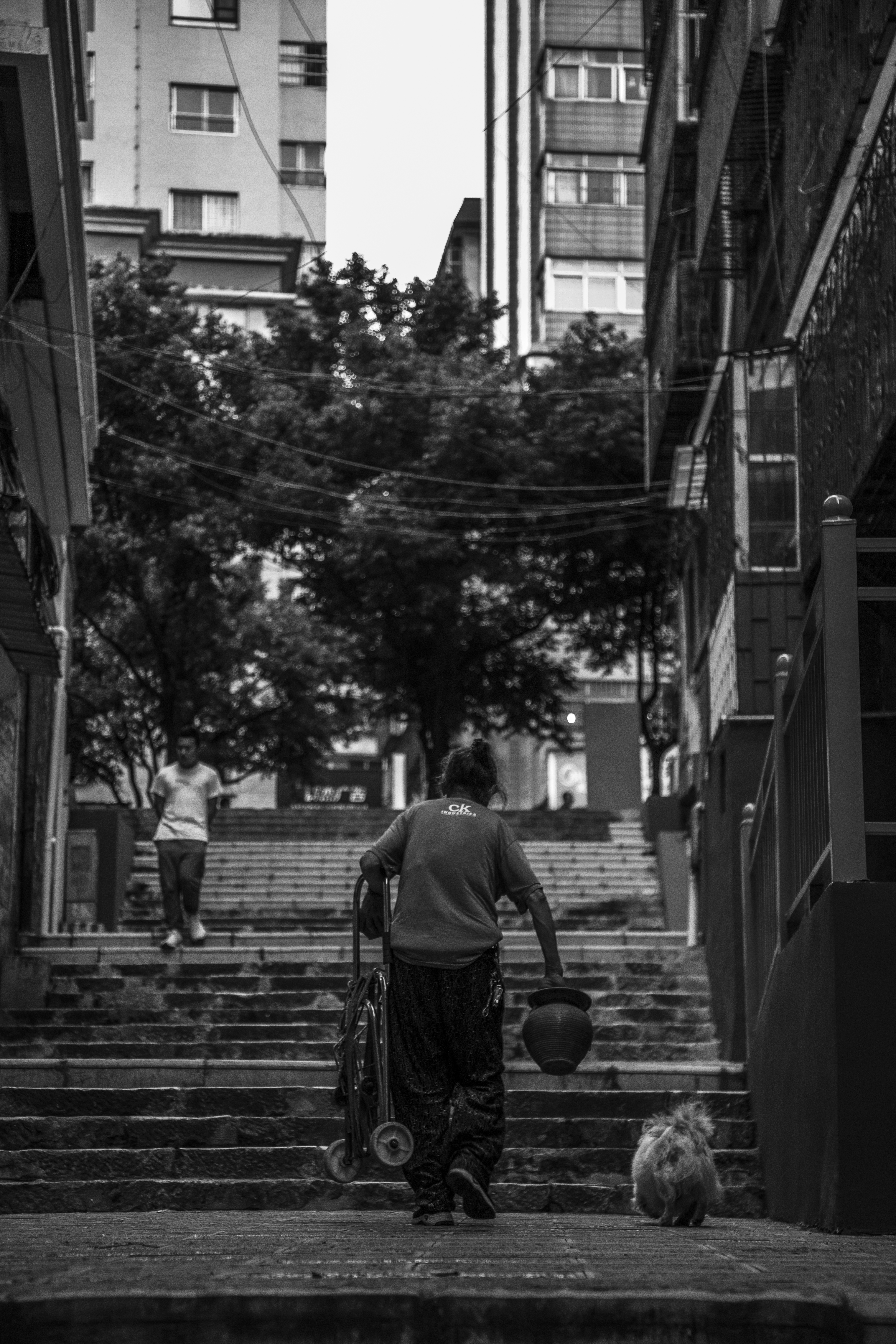 人物提着盆走台阶的城市生活场景图