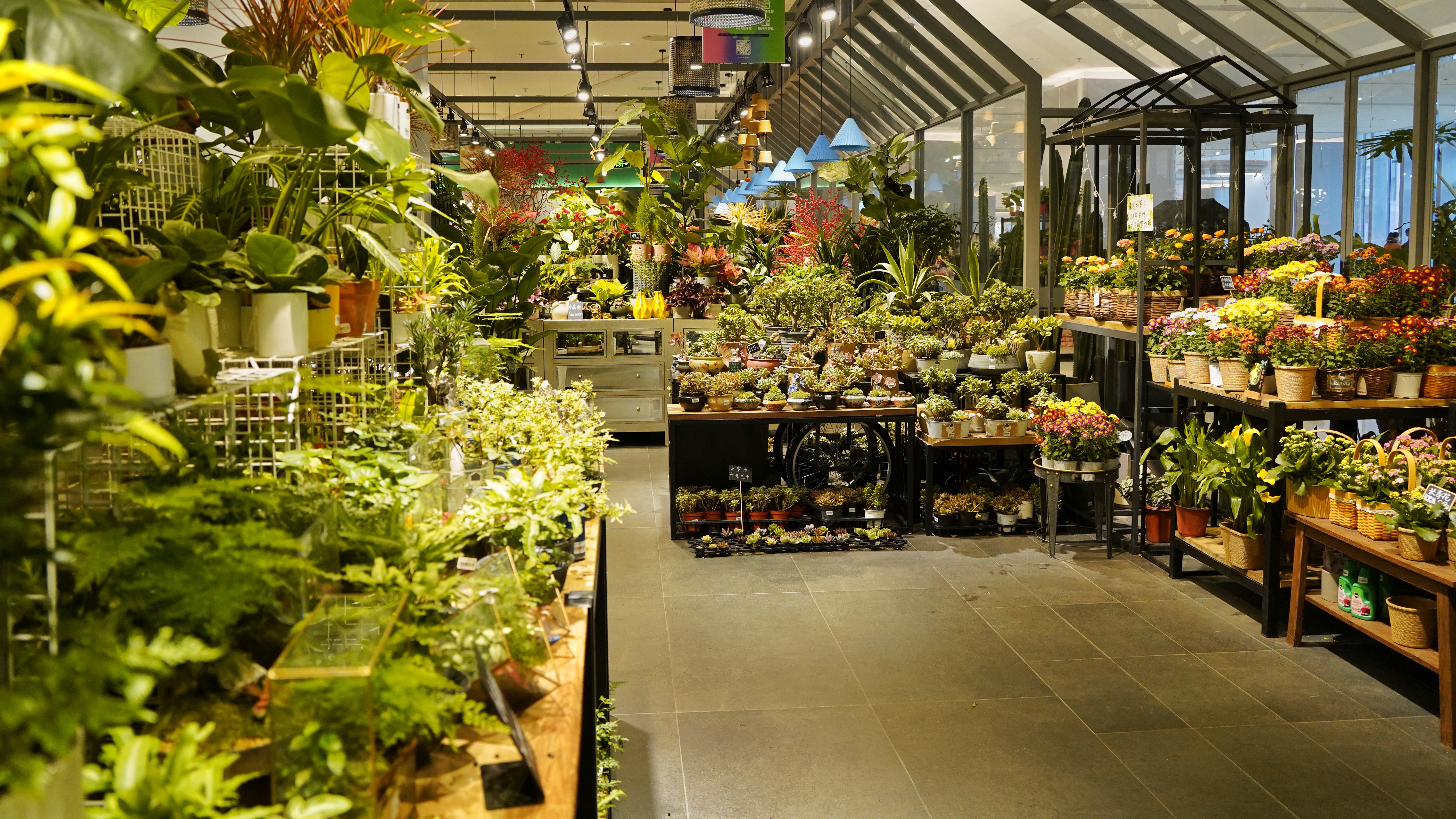 丰富多样的绿植花卉店 清新自然的购物场所