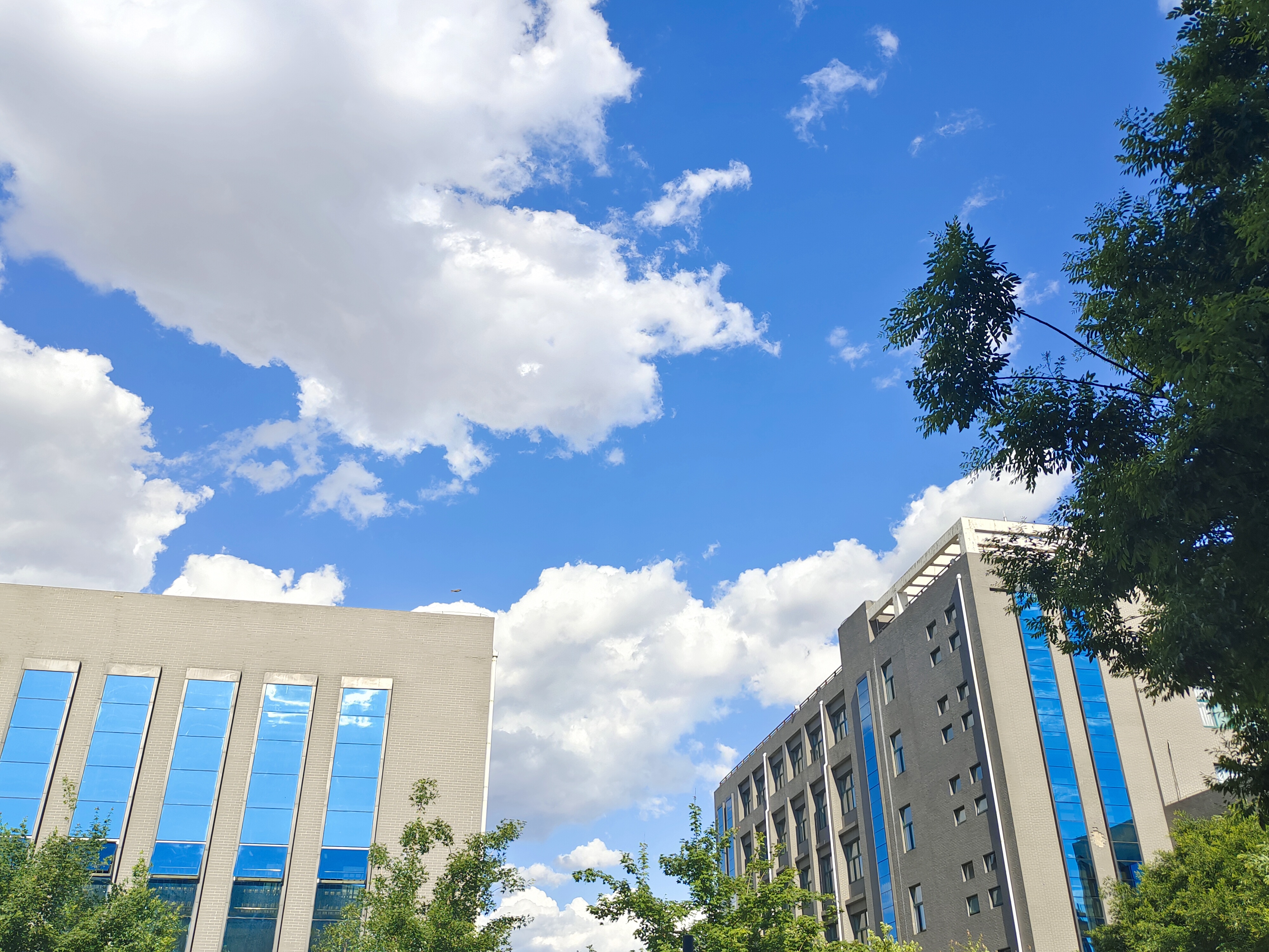 蓝天白云下的现代建筑 城市风景电脑壁纸