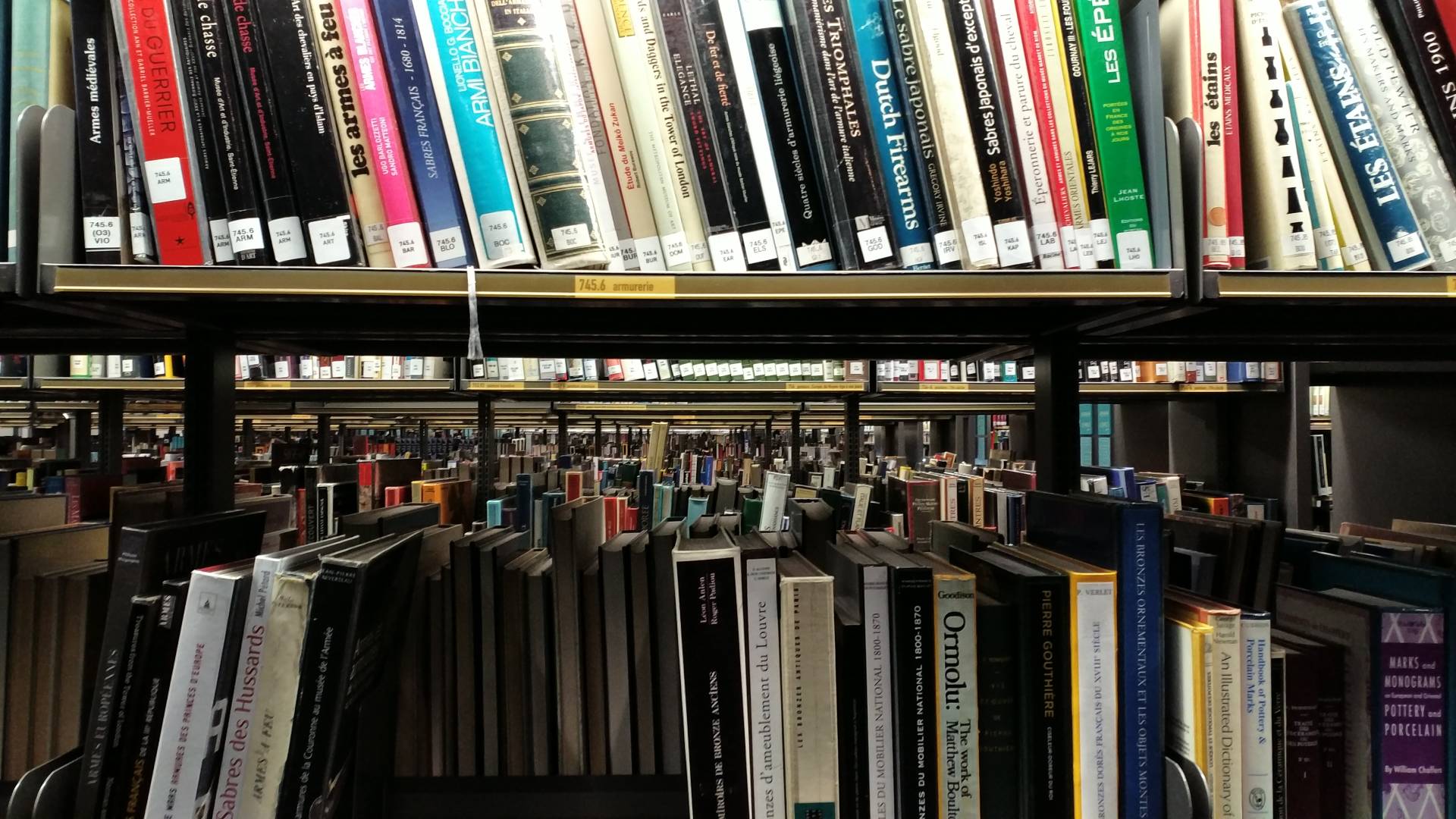 图书馆丰富藏书 知识宝库的文艺展示