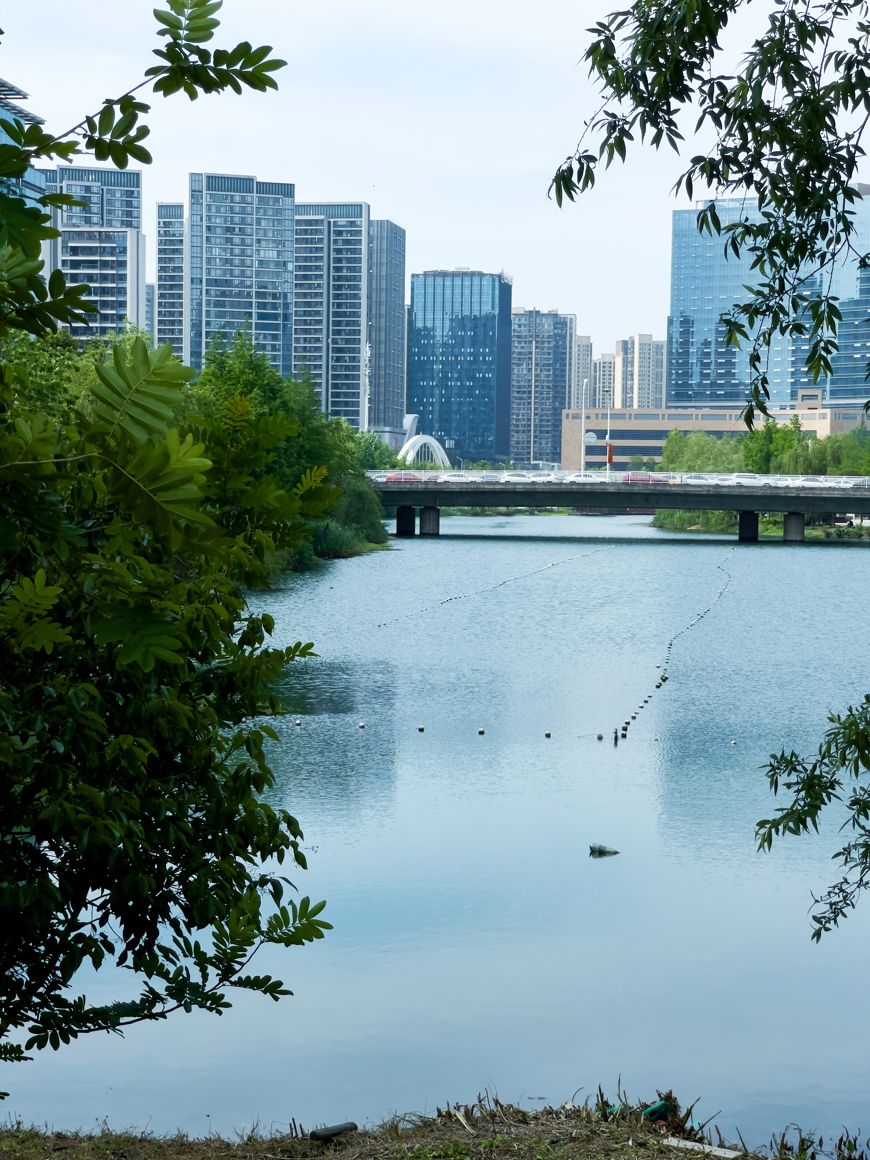 城市湖泊美景，优质风景电脑壁纸来袭