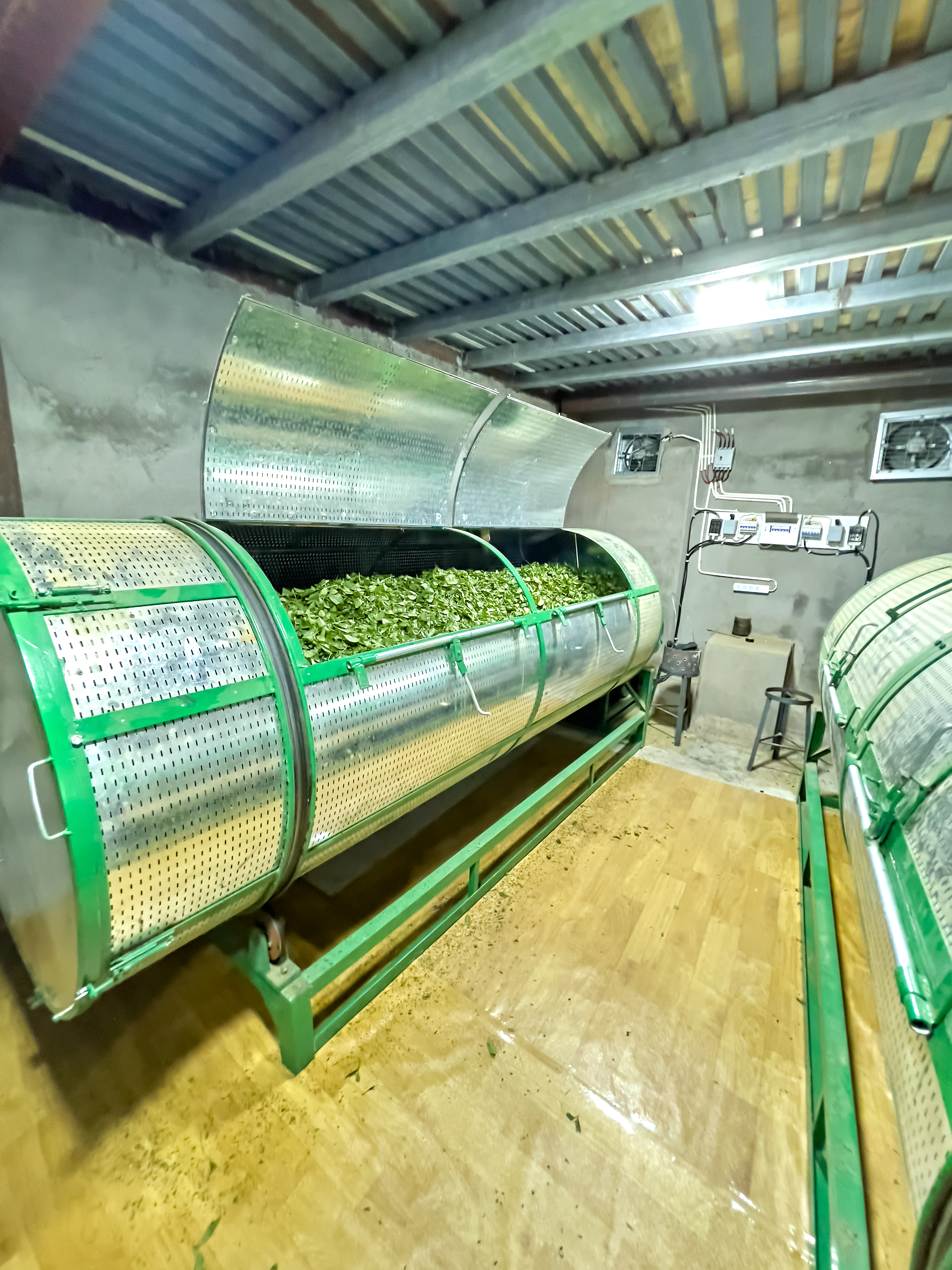现代化茶叶加工设备，尽显制茶工艺