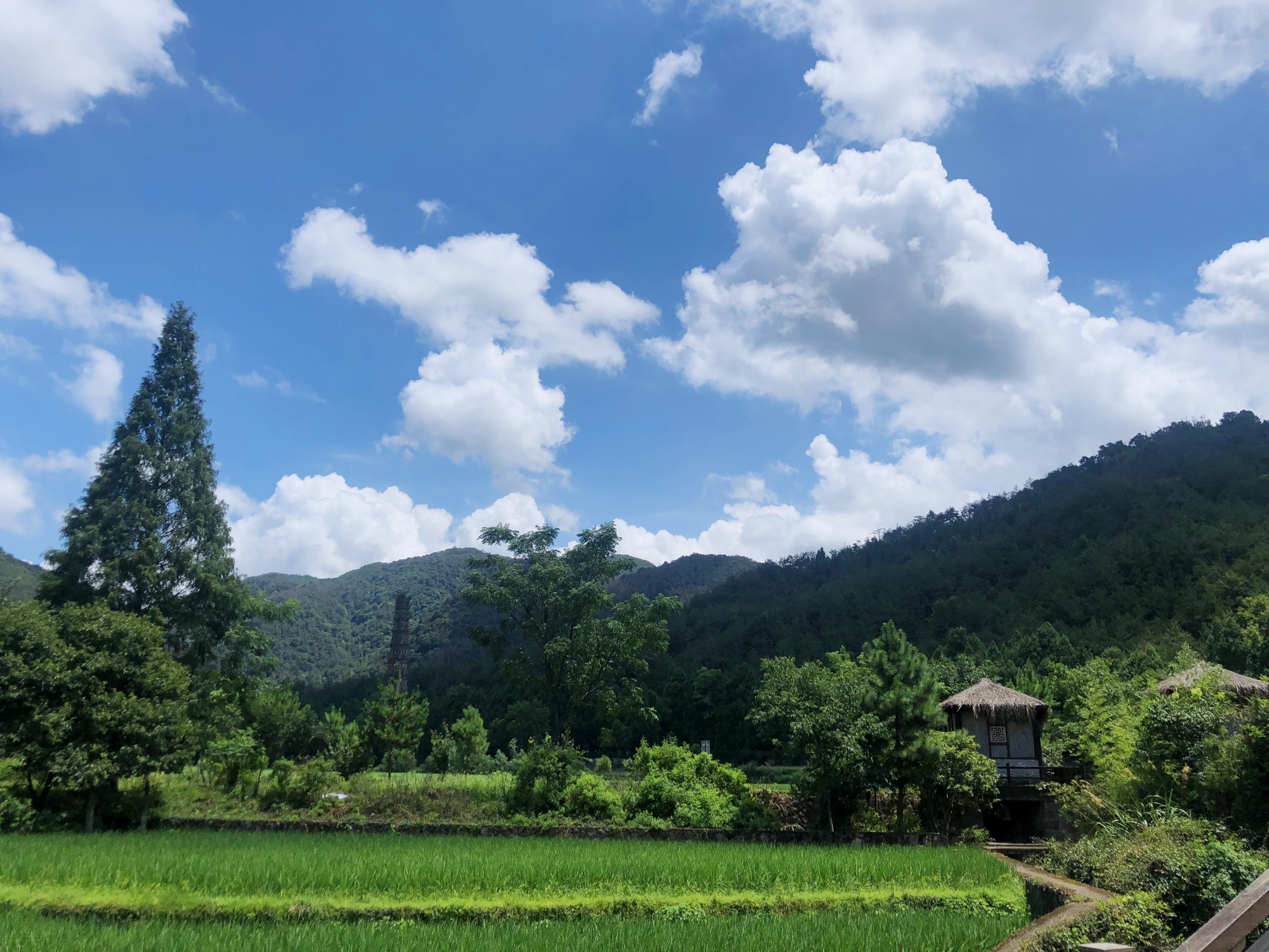 蓝天白云下的乡村美景 电脑壁纸素材