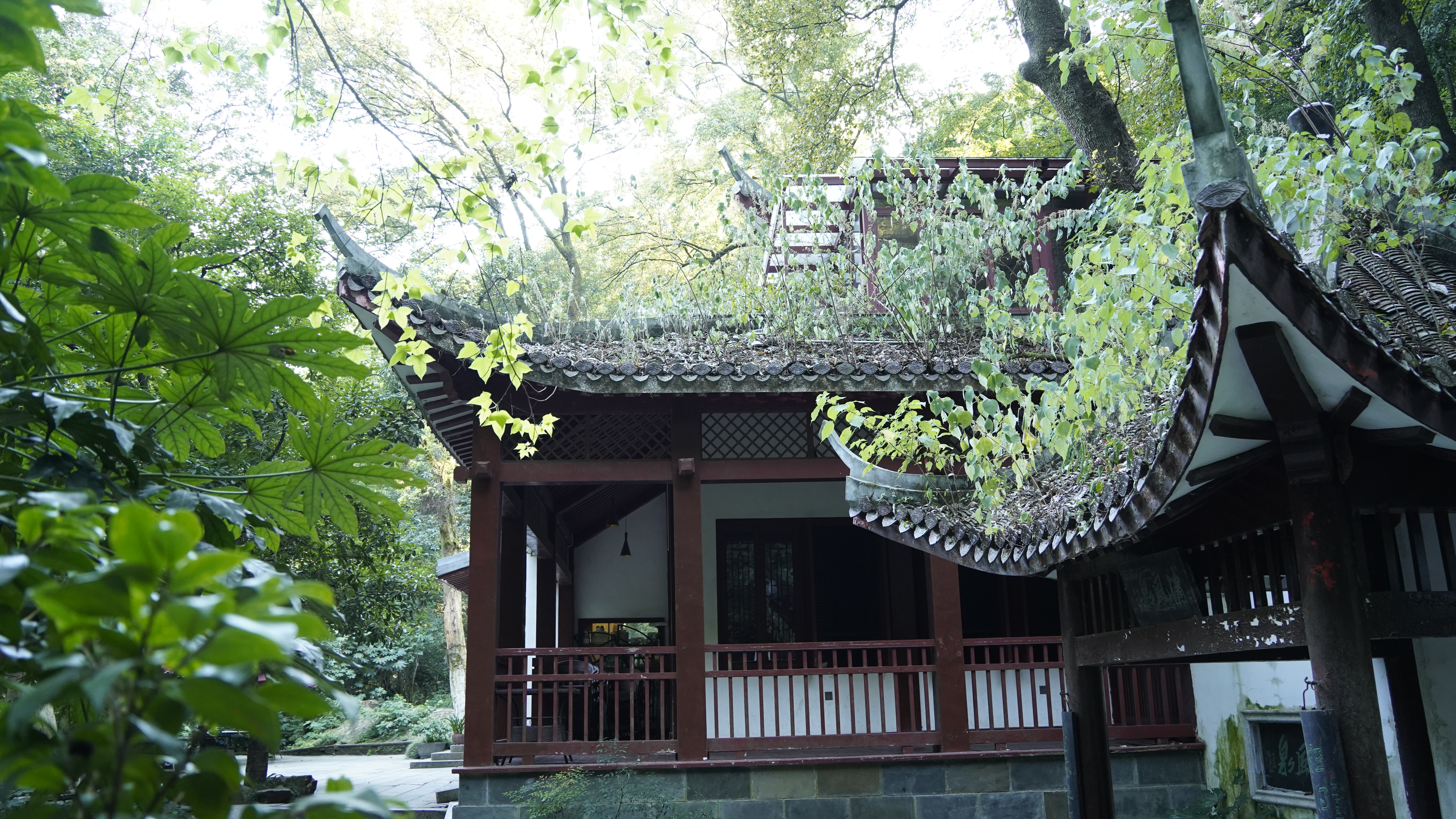 森林中古朴的古建筑尽显中式韵味
