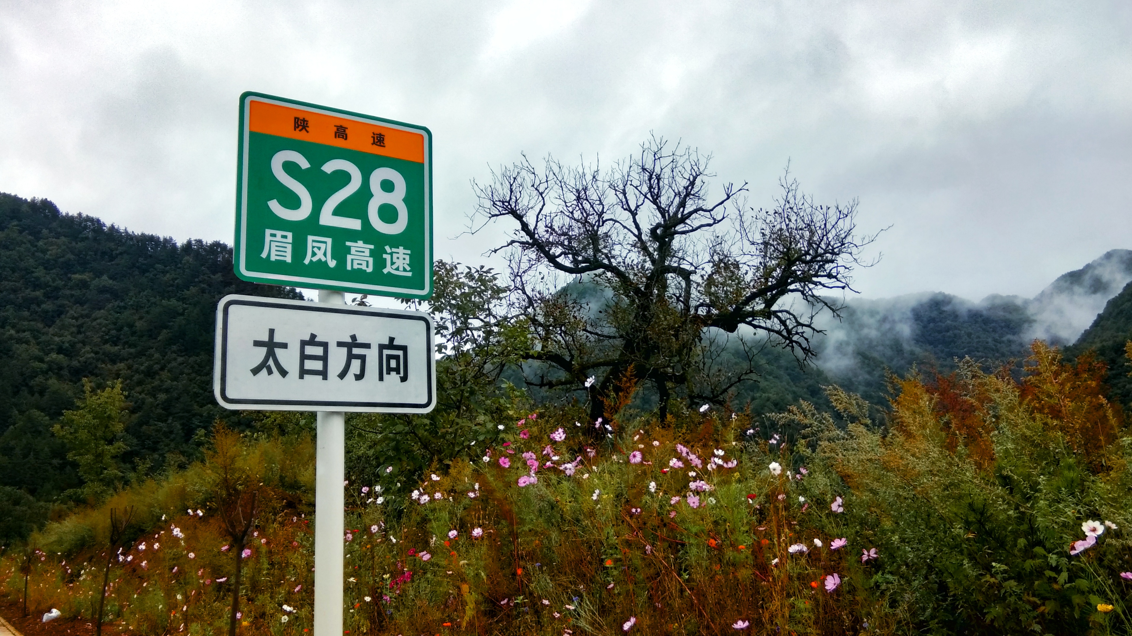 S28眉凤高速太白方向的自然风光路牌景致