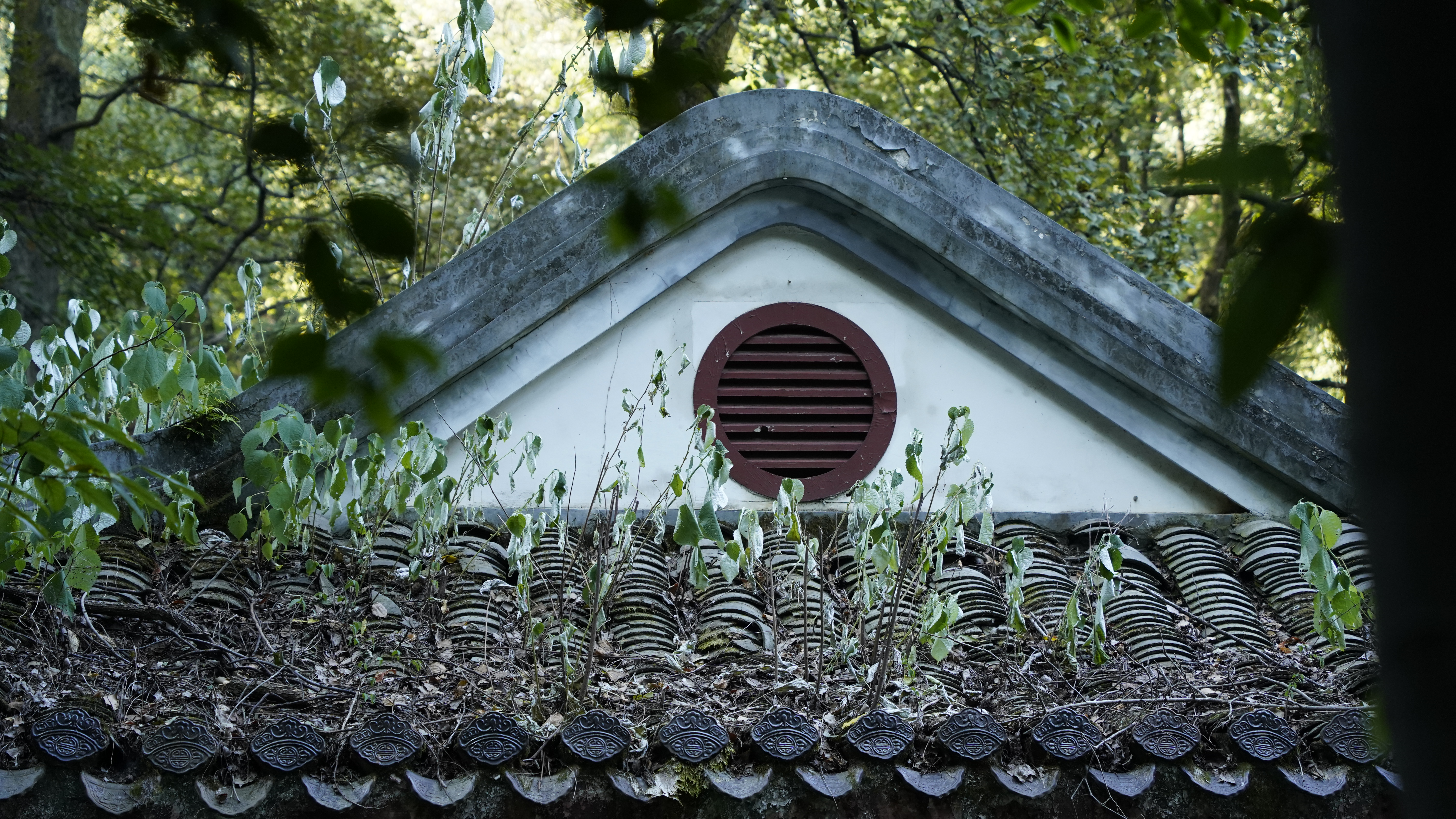 古朴屋顶彰显自然之美 森林古建筑风采