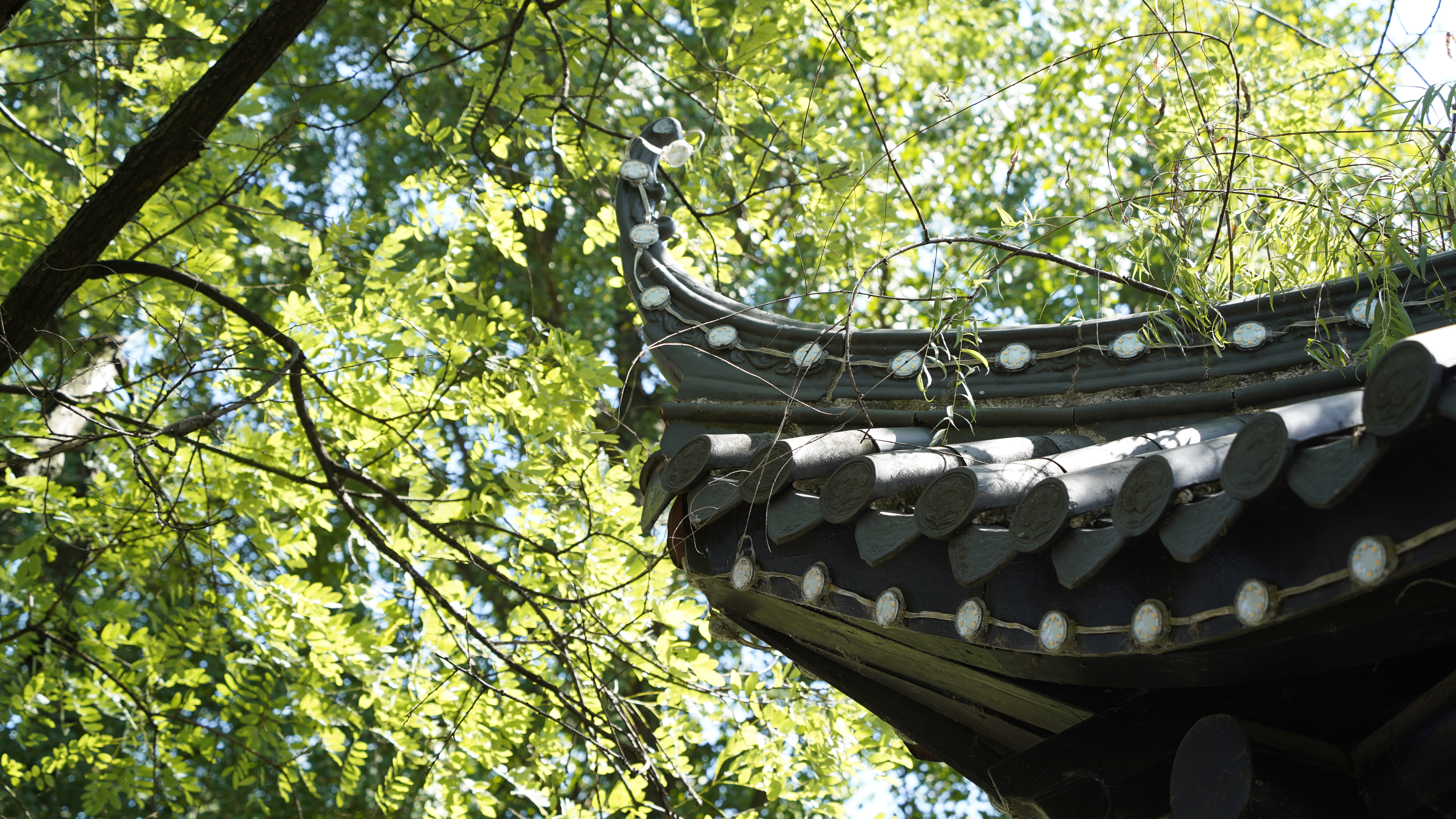 古色古香的古建筑屋顶 手机壁纸素材