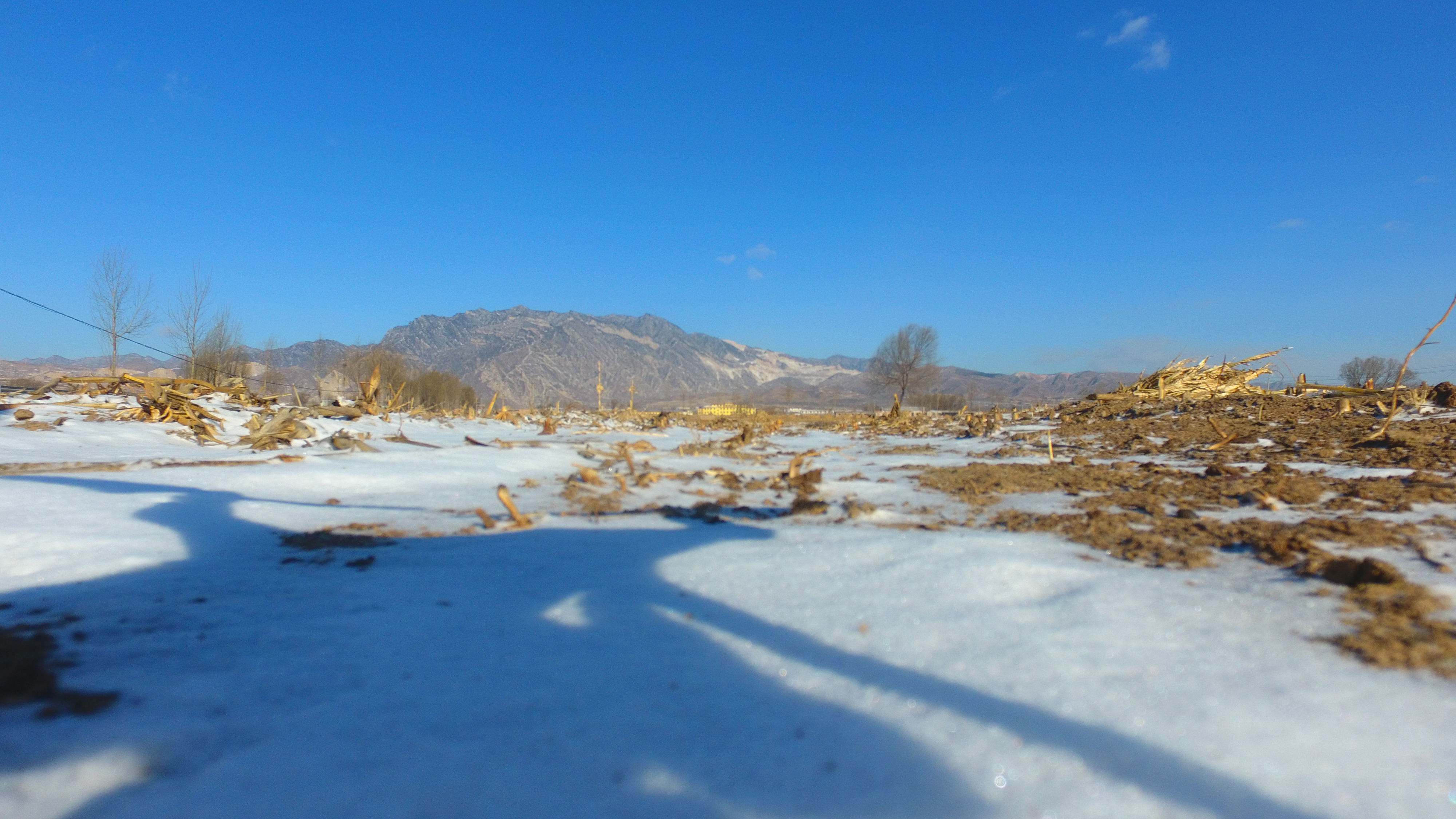 冬日雪后乡村景象尽显清新自然之美