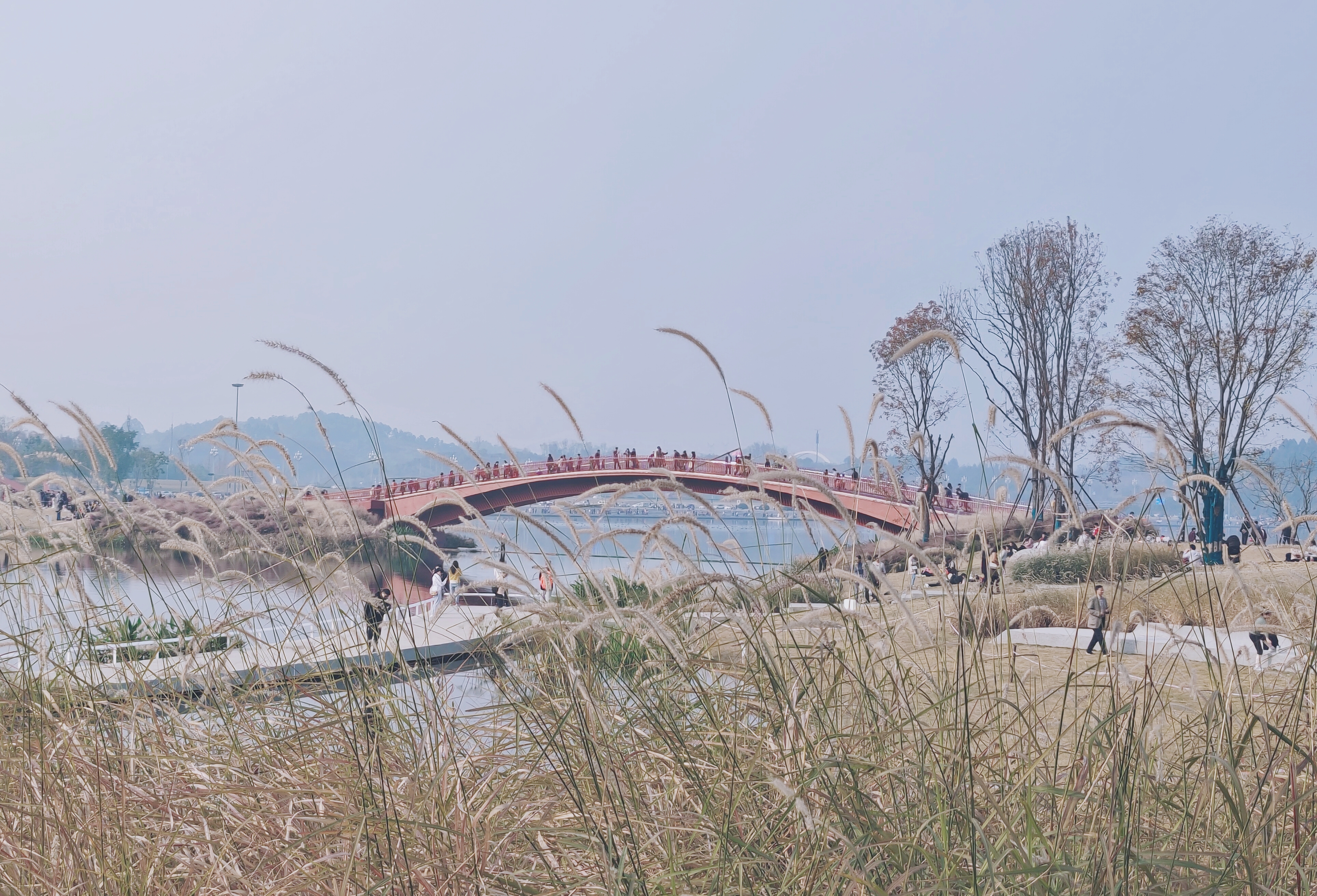 赏湖泊美景，观独特红桥的清新户外壁纸
