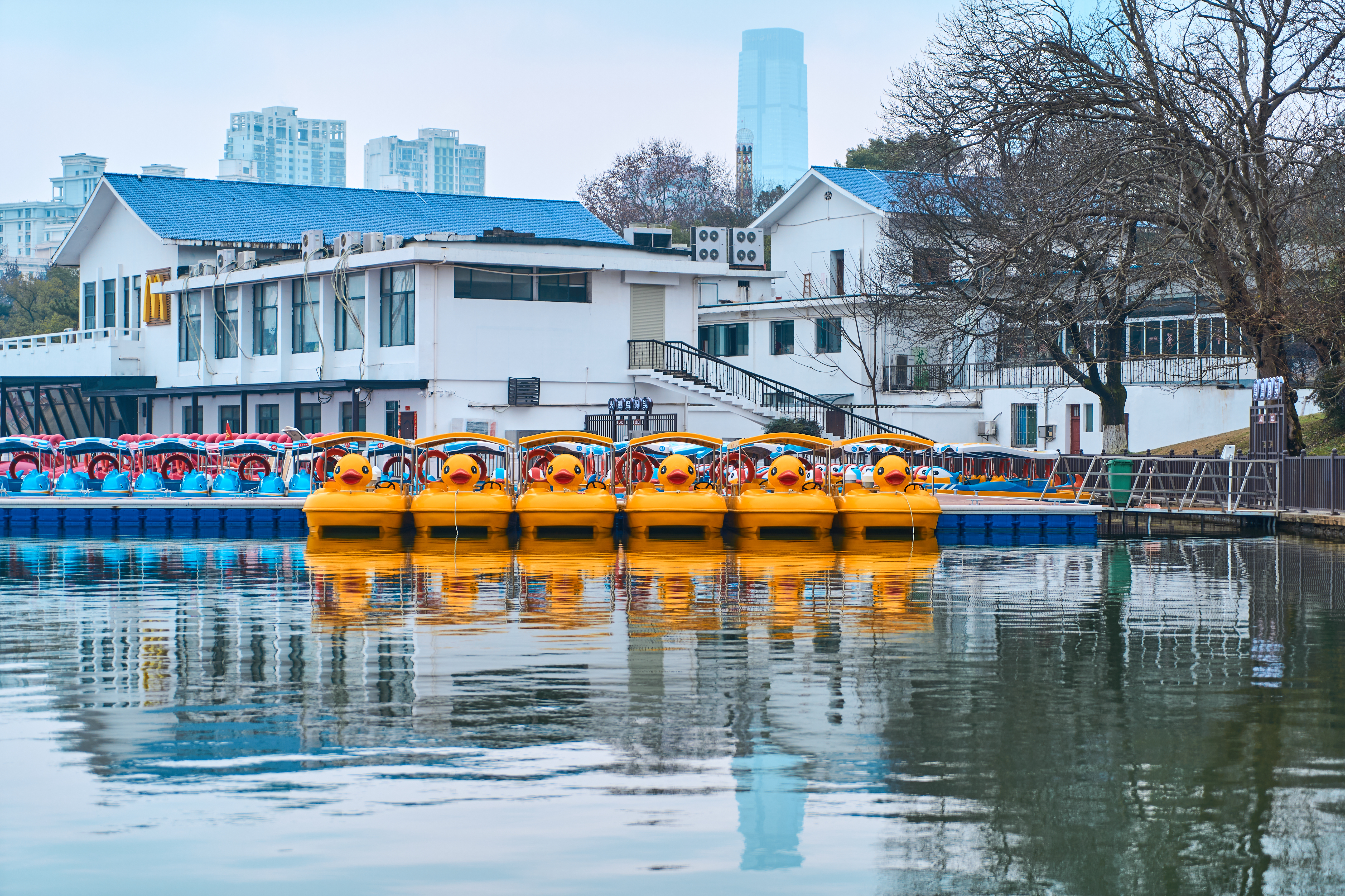 可爱小黄鸭游船停靠湖泊边的清新美景