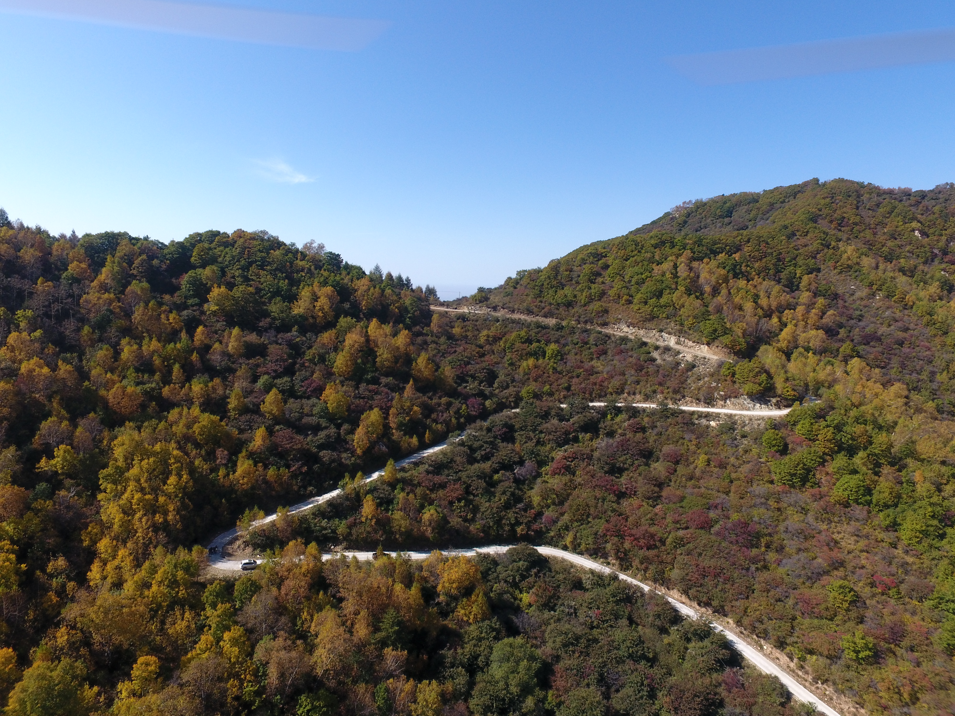 山间蜿蜒公路穿梭多彩森林的美丽景象