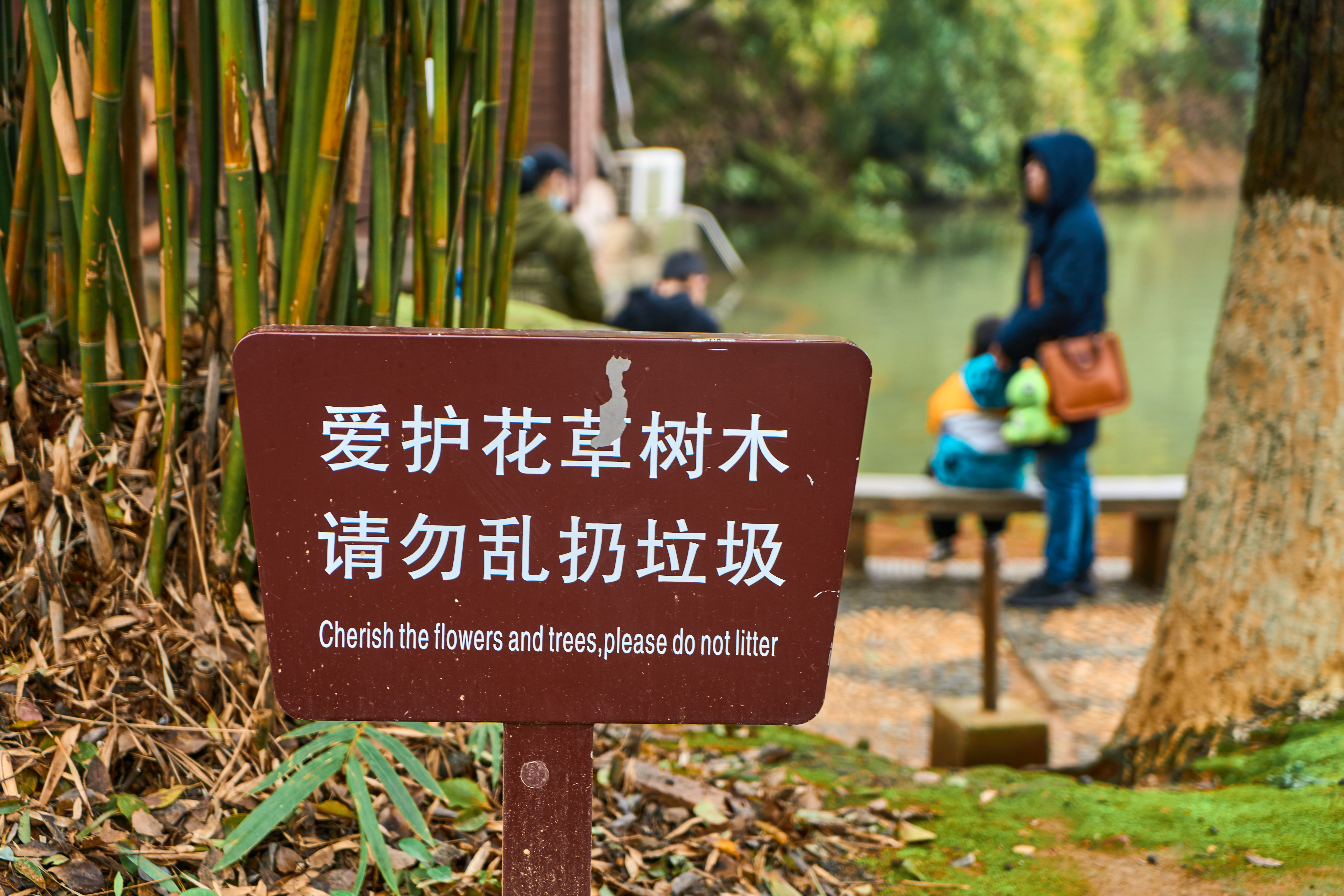 爱护花草树木勿乱扔垃圾的宣传牌物料图