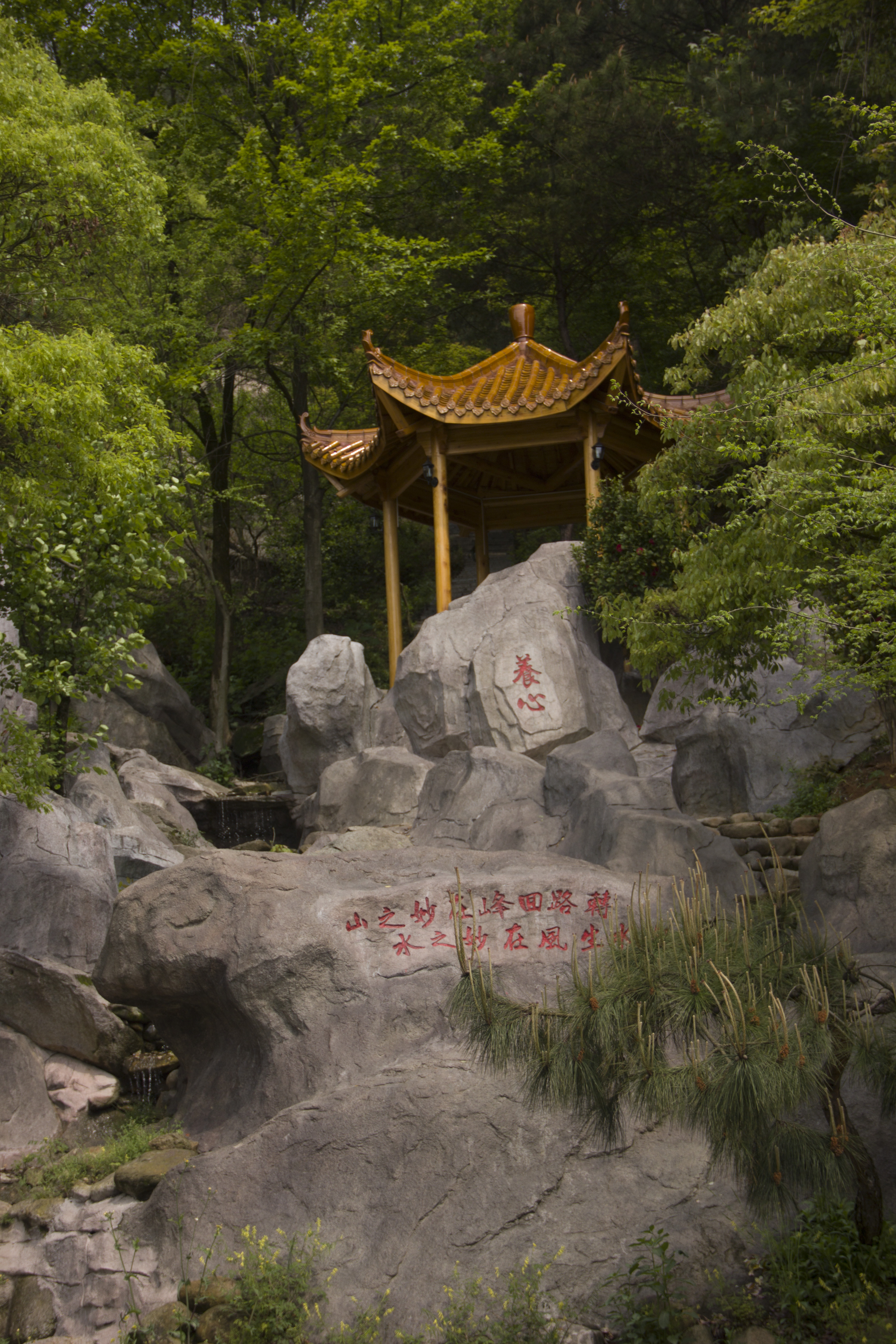 森林中古朴亭子 赏景养心的绝美壁纸