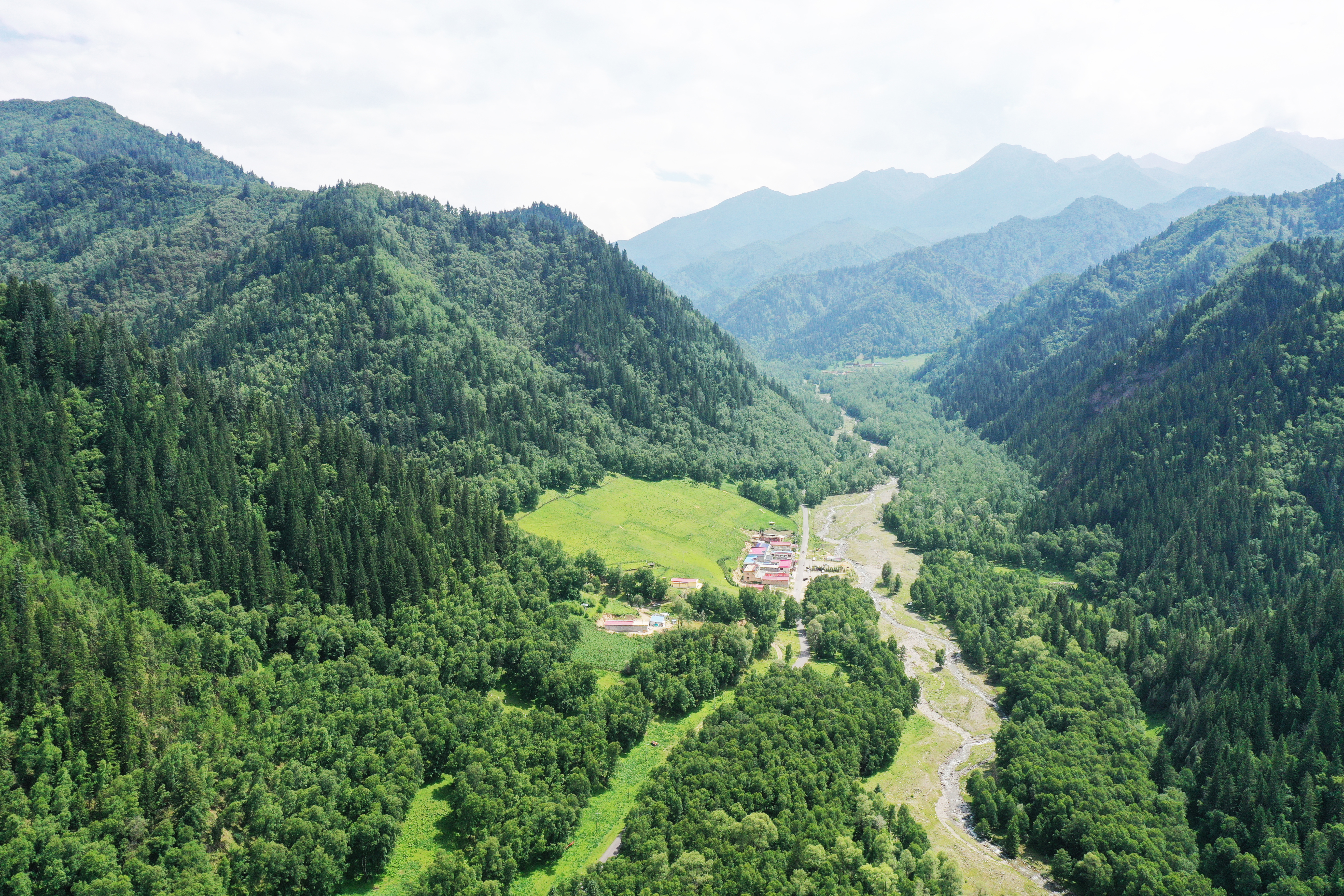 绿色森林山谷美景，优质电脑壁纸素材来袭