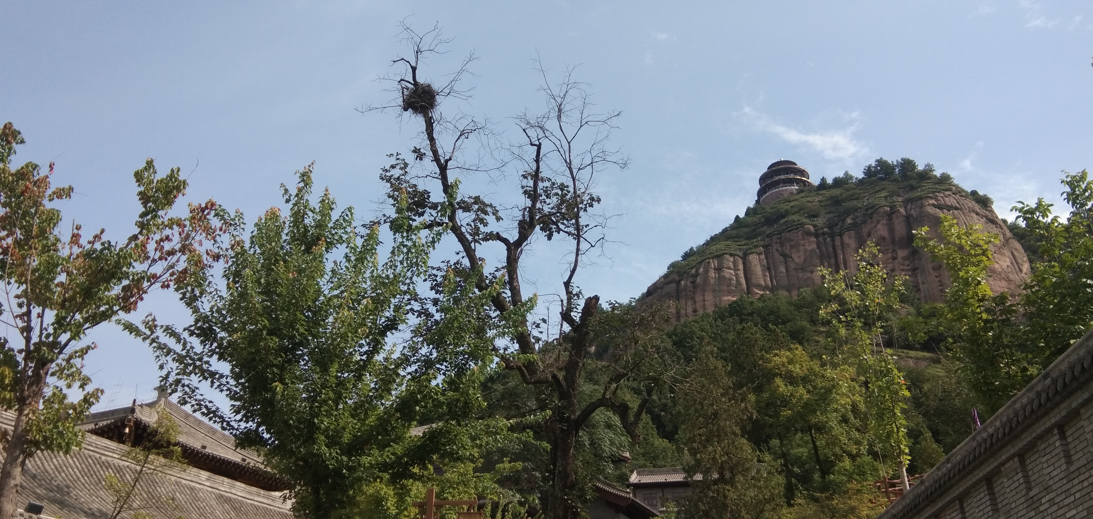 绿树环绕的山间古建筑，赏独特自然景观