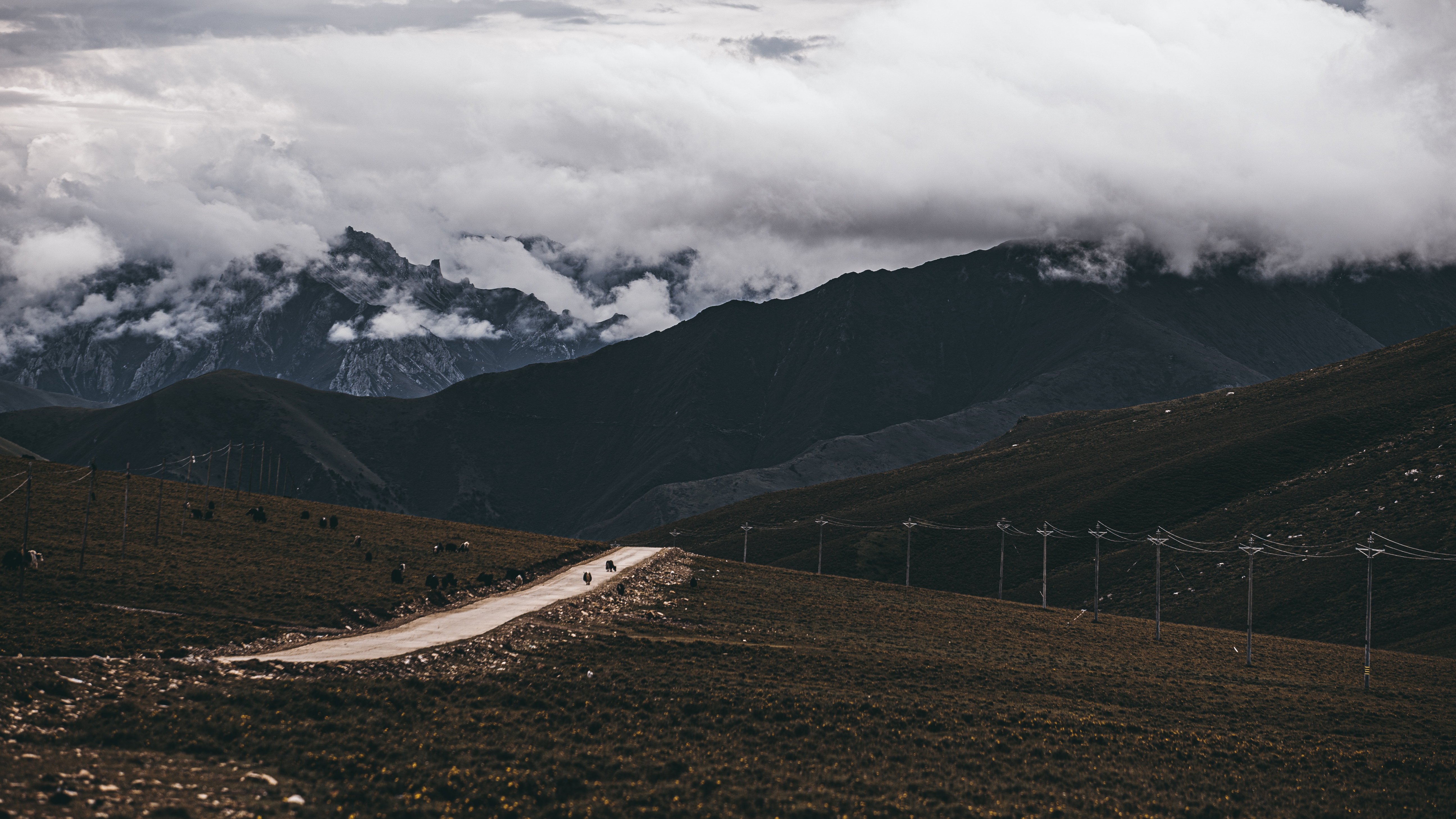 山间公路蜿蜒，尽显自然壮阔之美