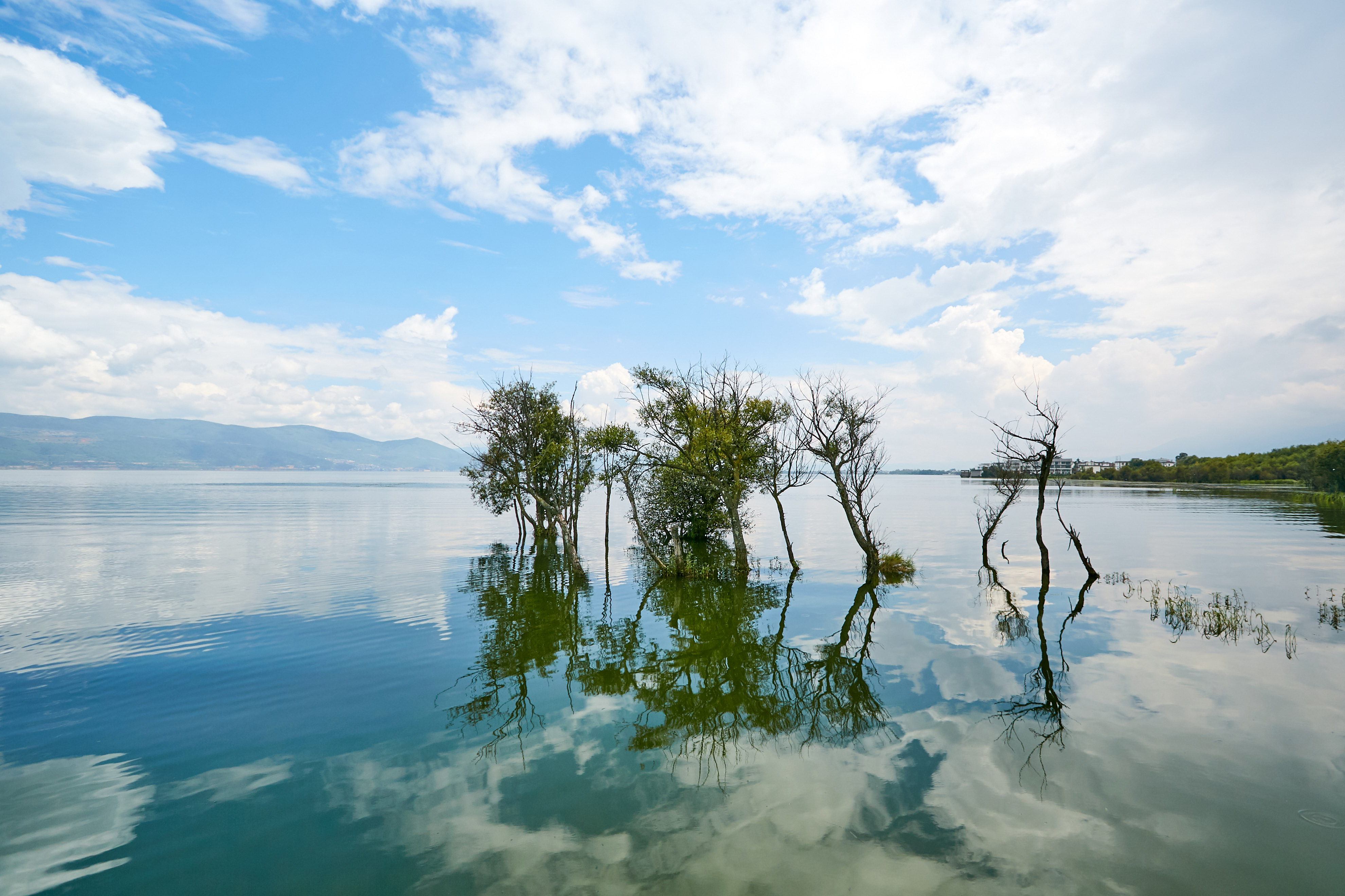 湖水清澈映树影，美丽湖泊风景令人陶醉
