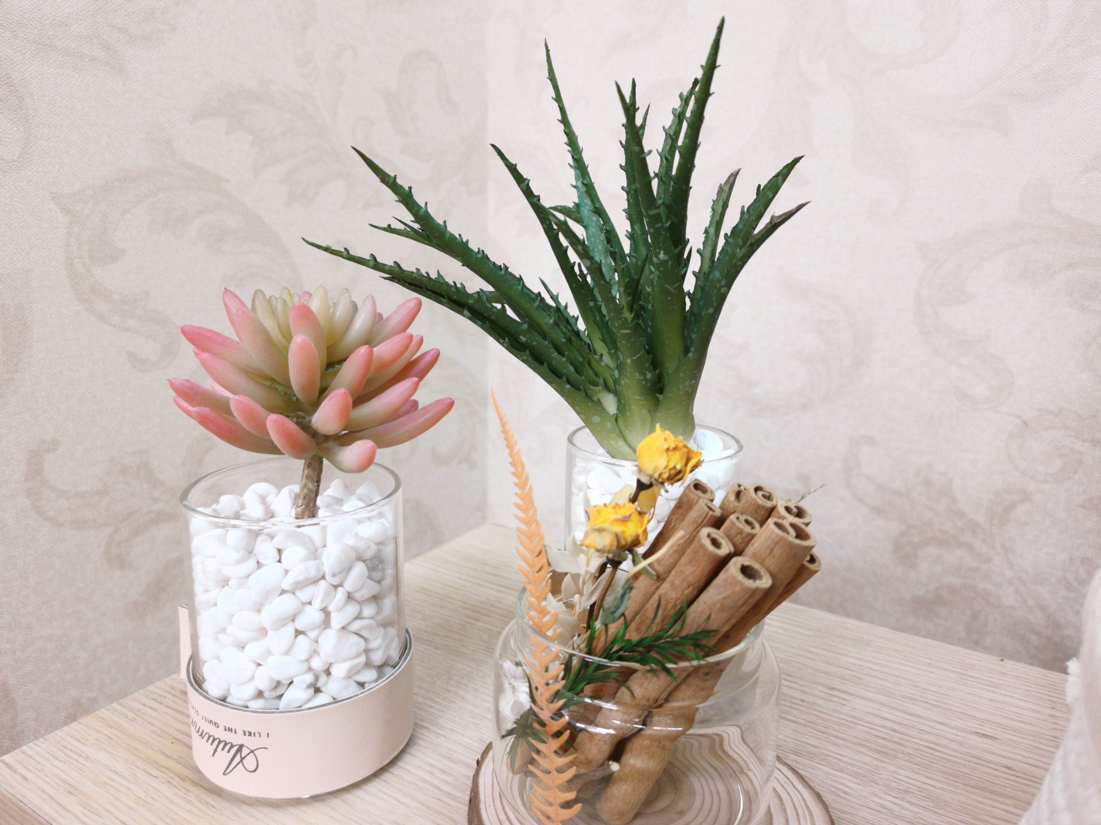 玻璃花瓶中多彩绿植组合的清新装饰摆件
