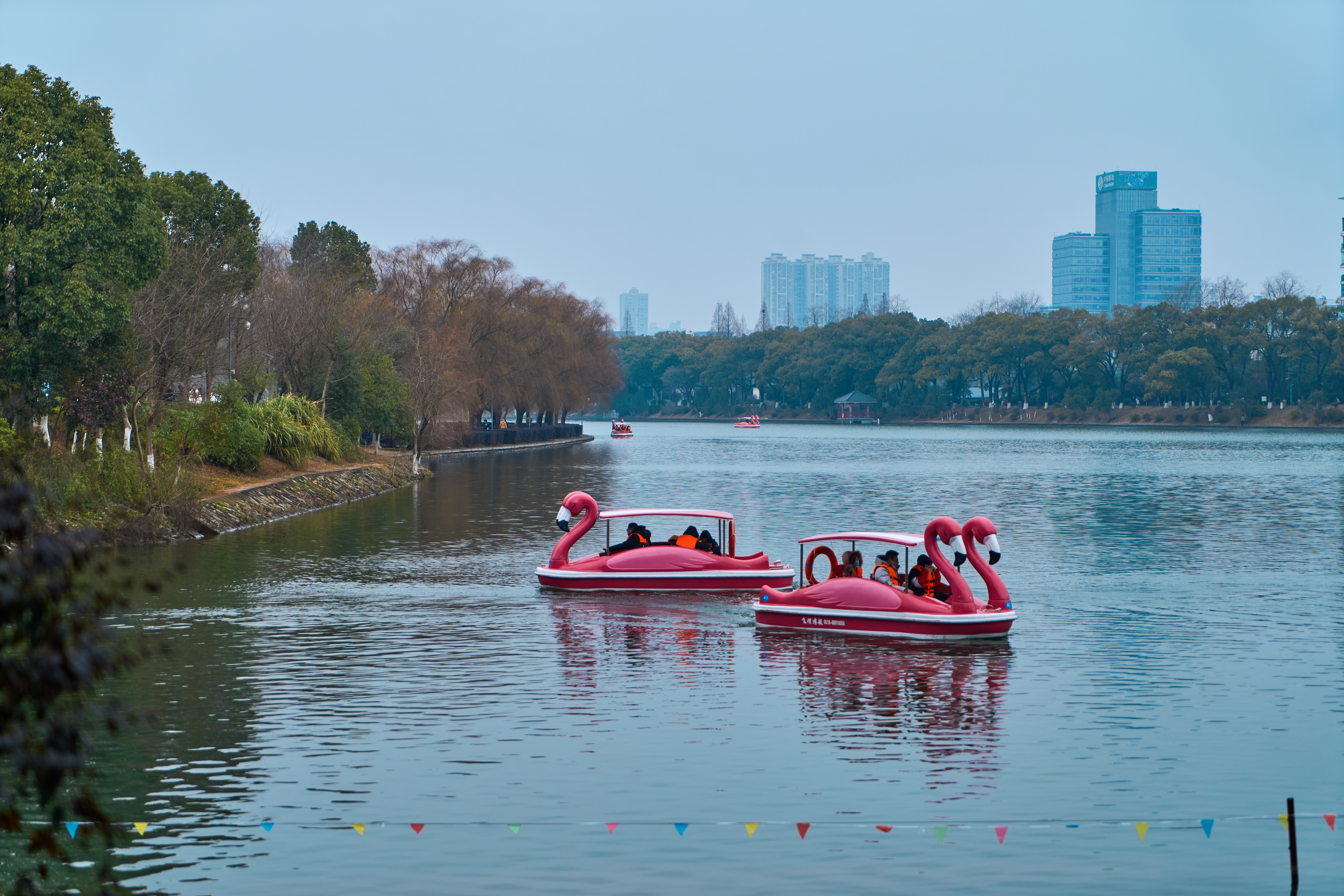 粉色天鹅游船游湖 赏湖泊之景的惬意之旅