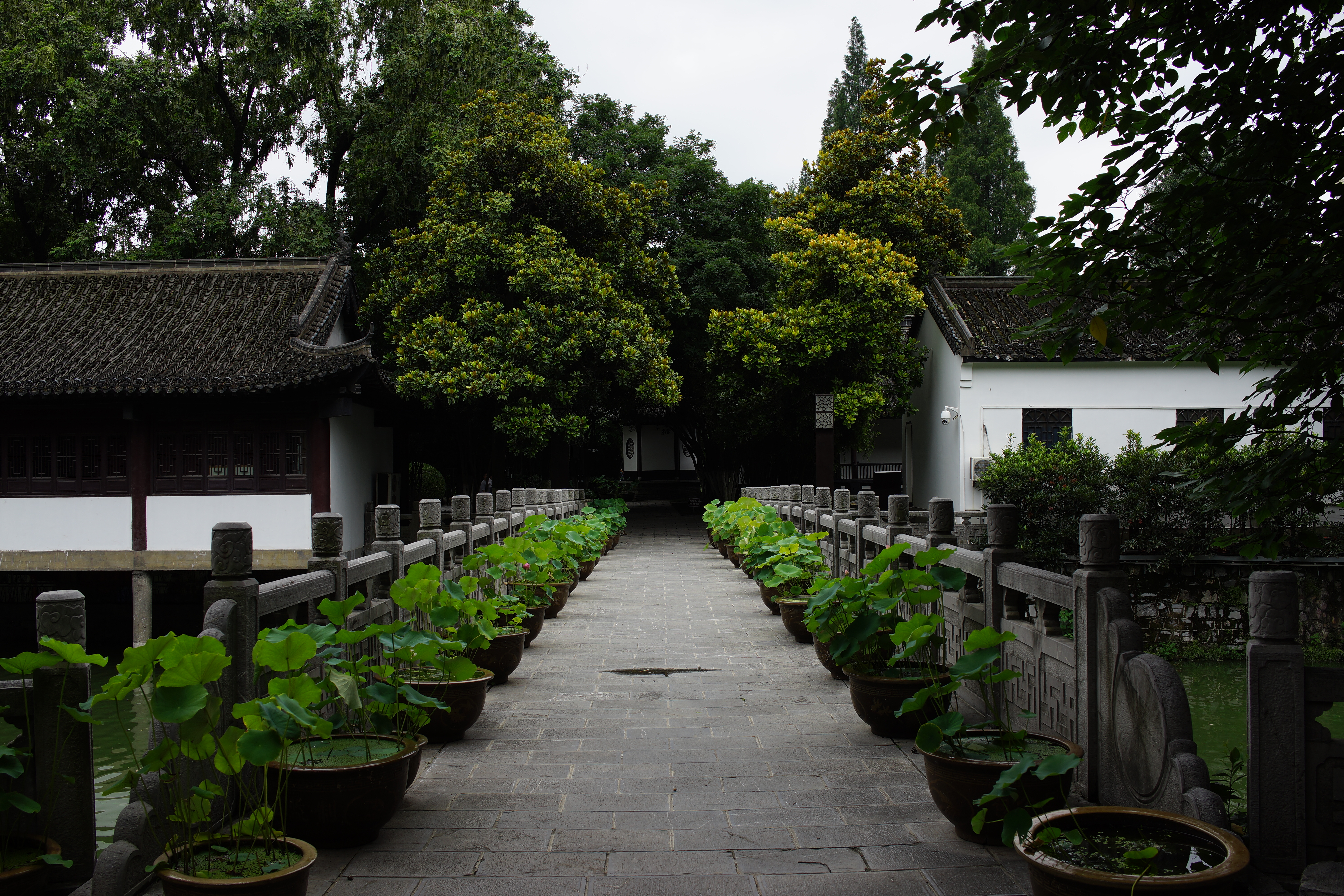 古色古香园林小道，赏绿植之美