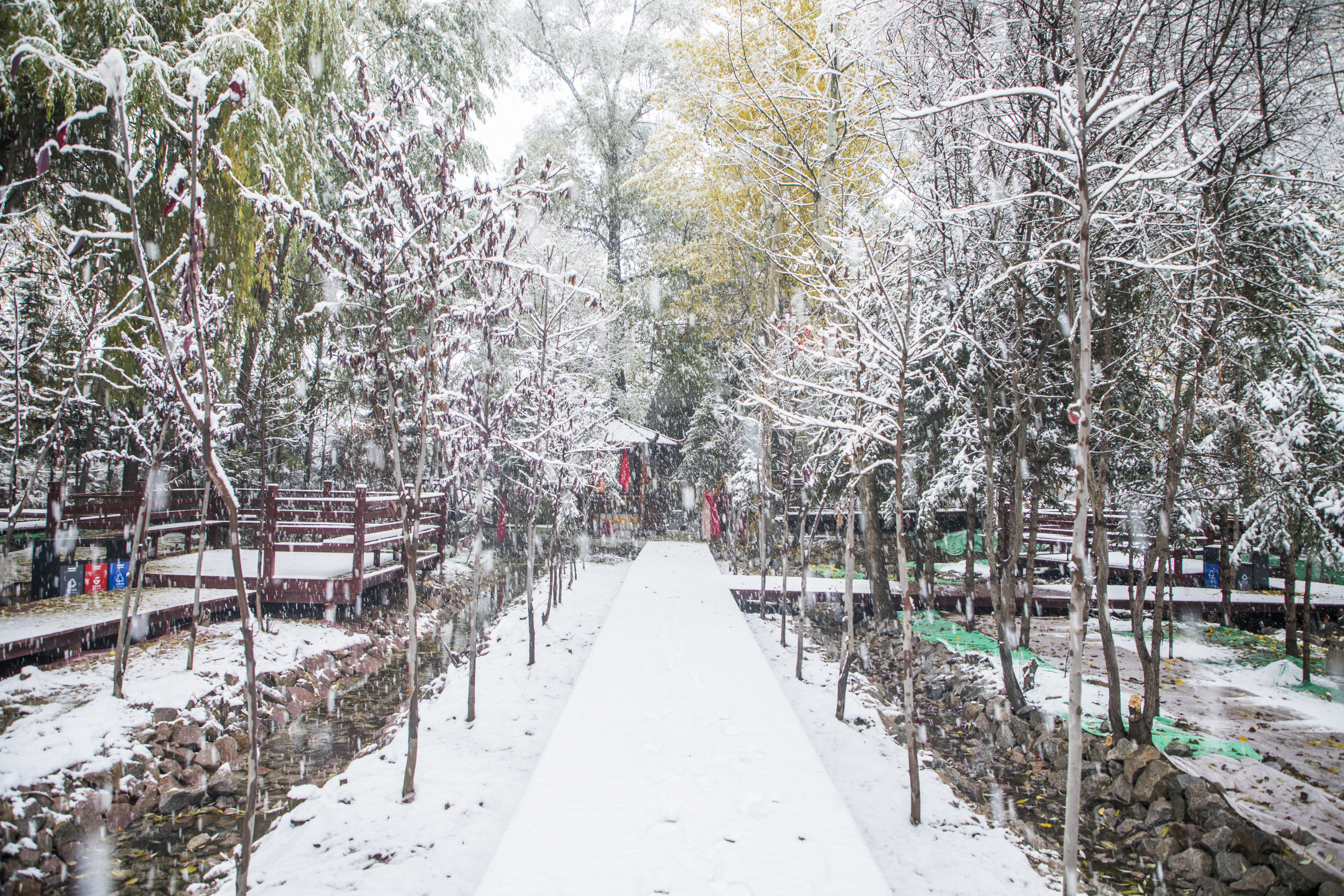 小径雪景