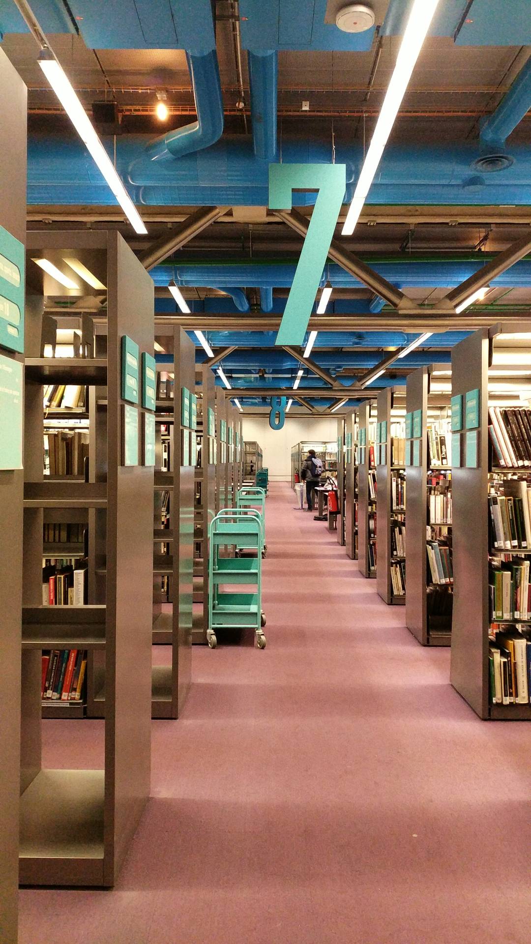 图书馆内景展示，海量藏书的知识宝库