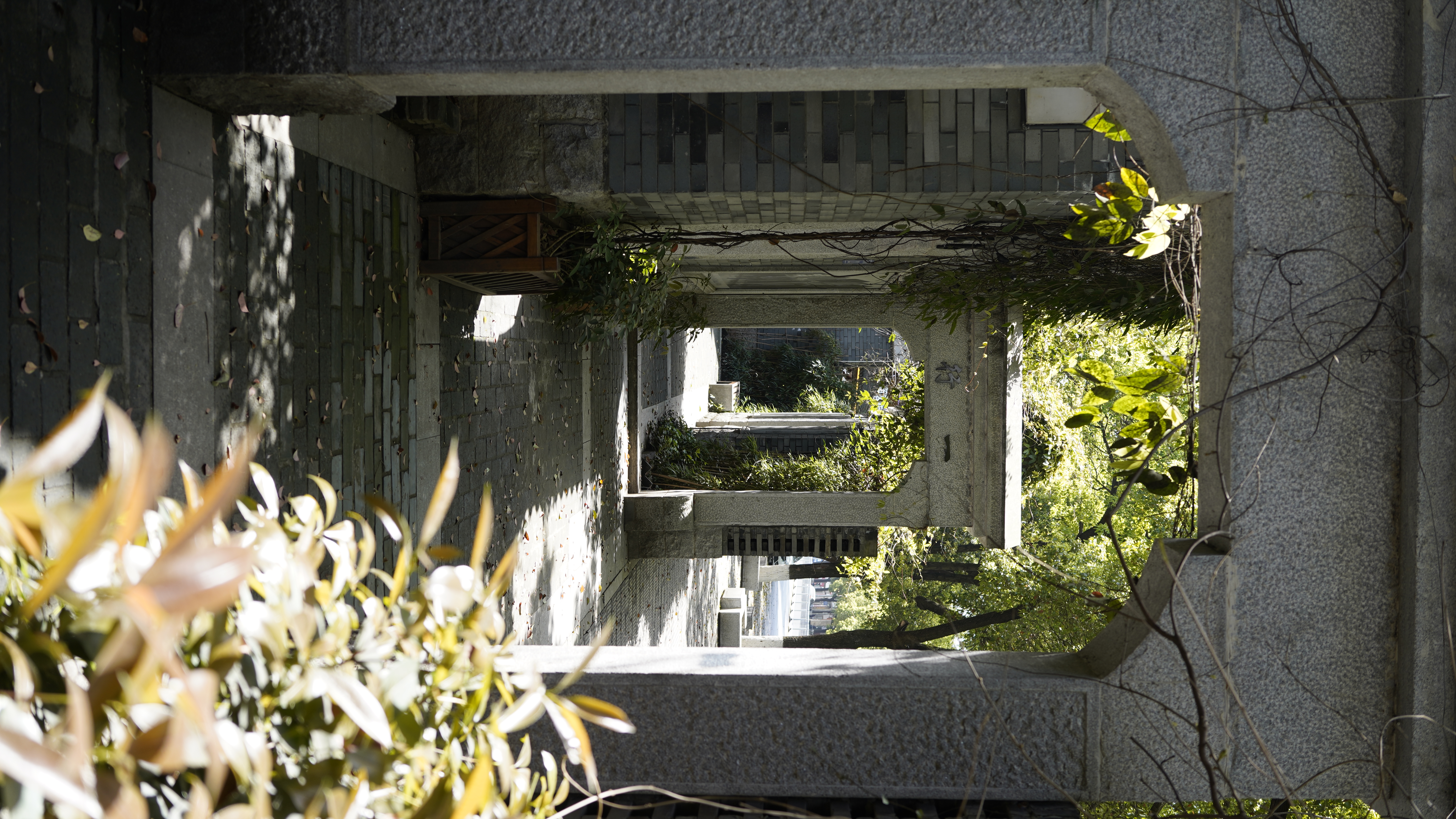 绿植环绕的古建筑 独特风景尽显古朴之美