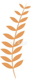 手绘简约金色叶子