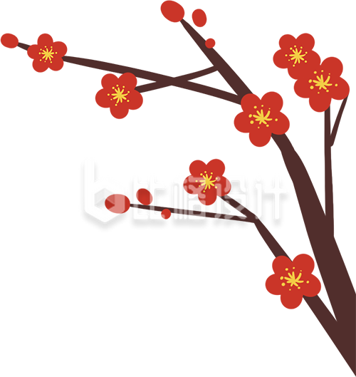 手绘中国风红梅花