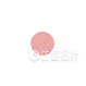 可爱插画小花花