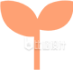 简约橙色植物图标，清新绿植宣传物料