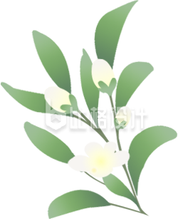卡通手绘花卉绿植