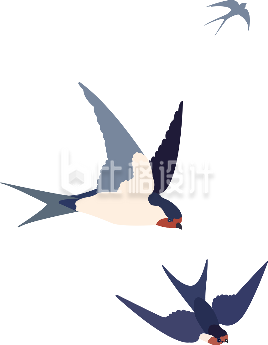 燕子