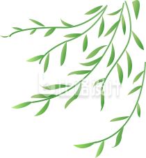卡通手绘绿色柳树柳枝