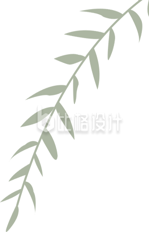 柳叶