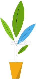 盆栽