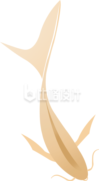 金色锦鲤