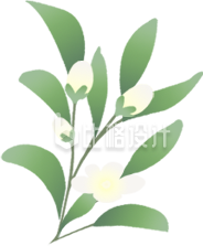 手绘植物绿叶花朵