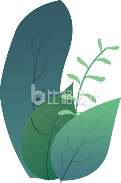 植物叶子